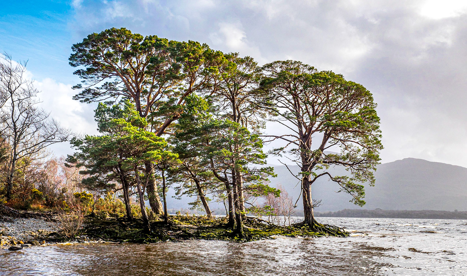 Ross Island, Killarney, Co Kerry, 2 Mar 2019