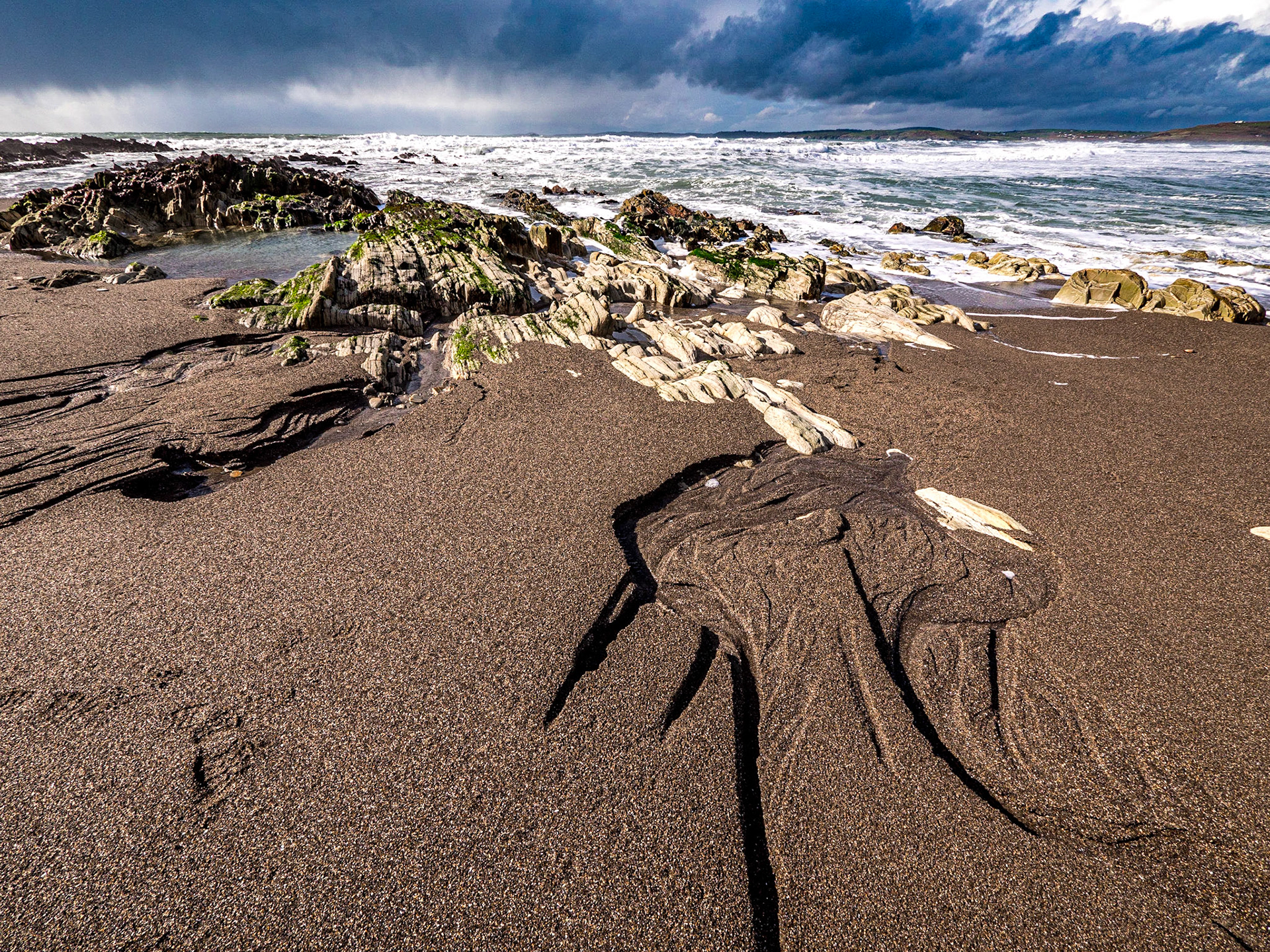 Beach near Rosscarbery, Co Cork, 4 Mar 2019
