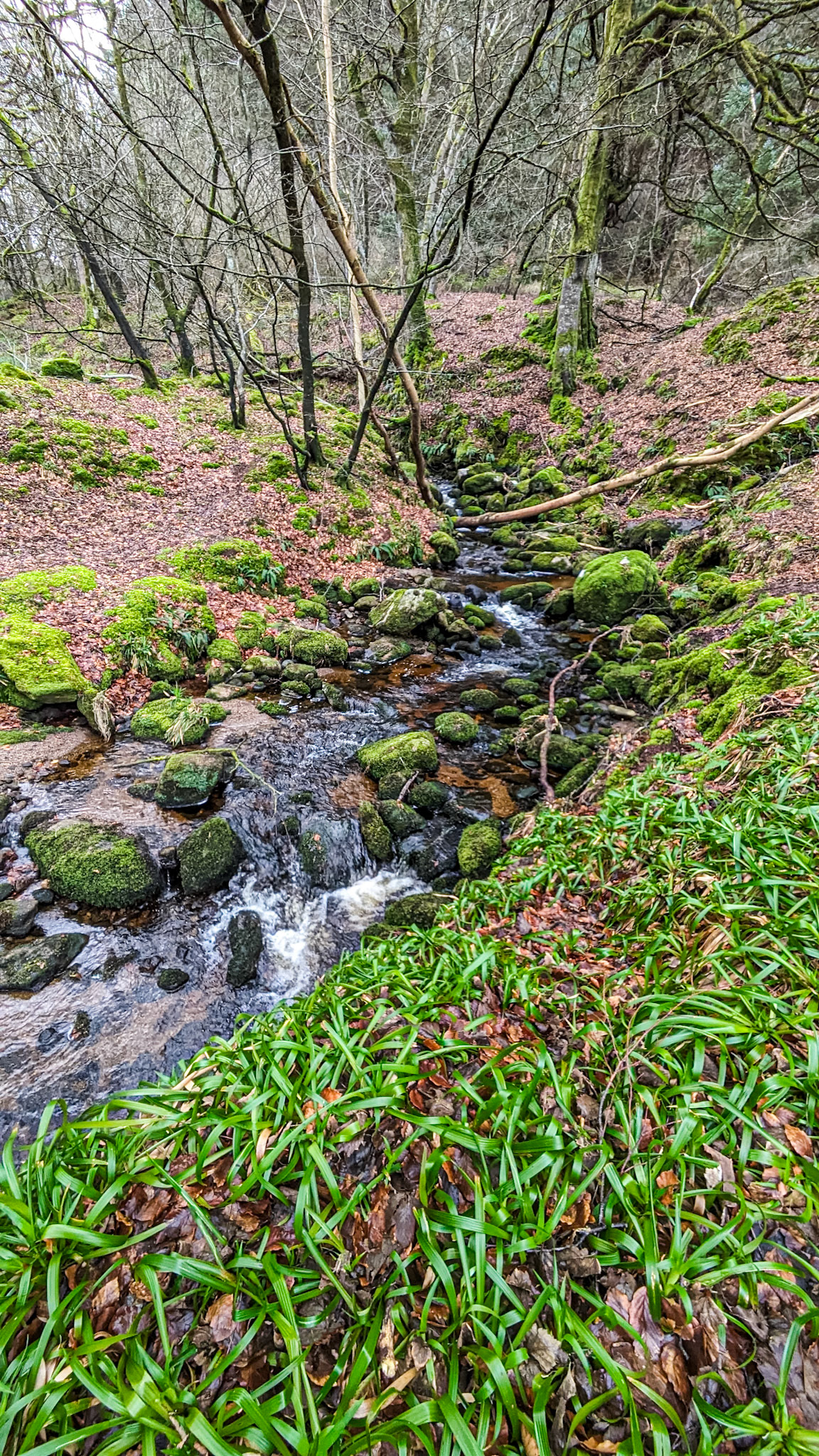 Cruagh Road, Co Dublin, 23 Feb 2024