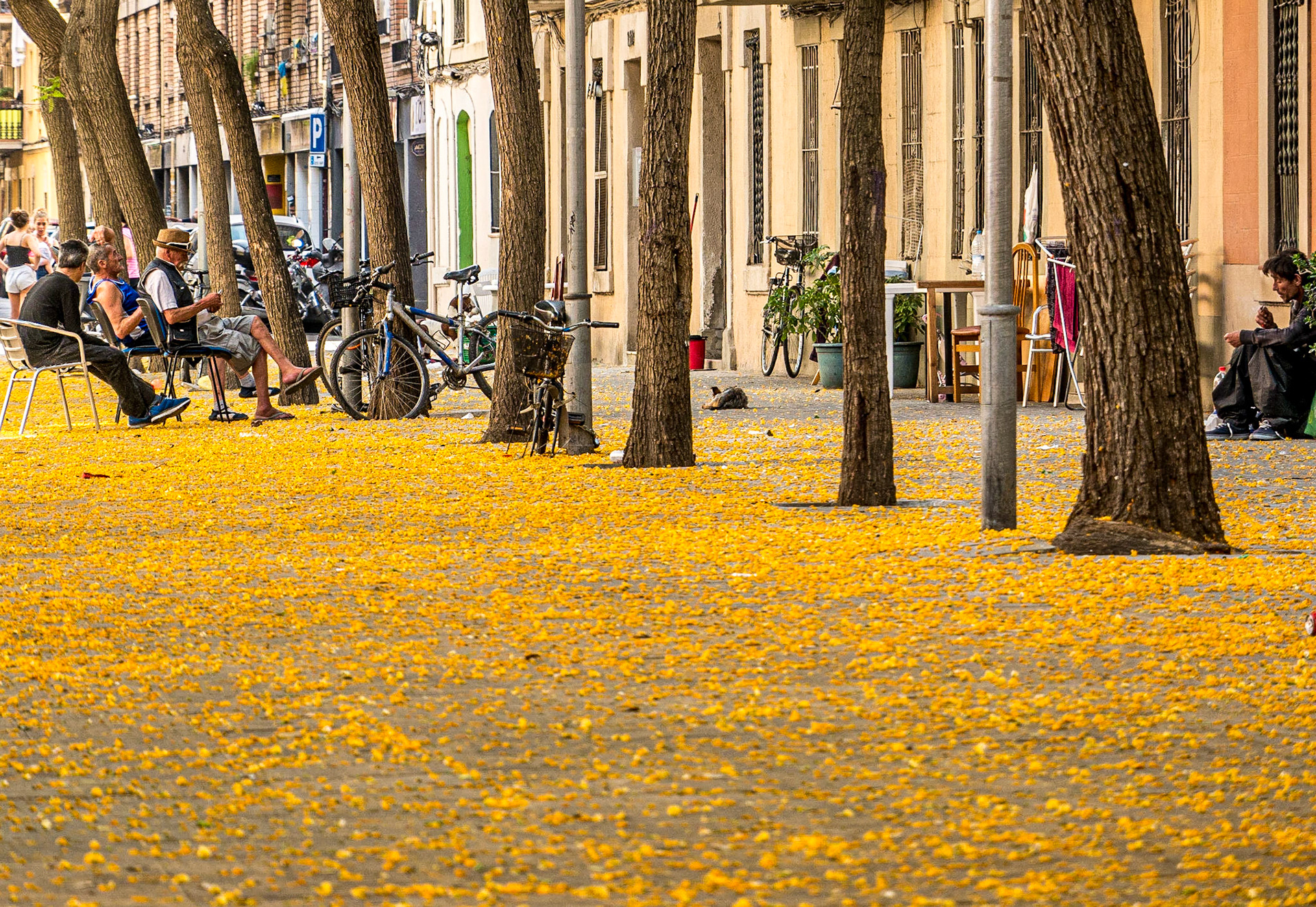 Carrer de Ginebra, Barcelona, 28 Jun 2016