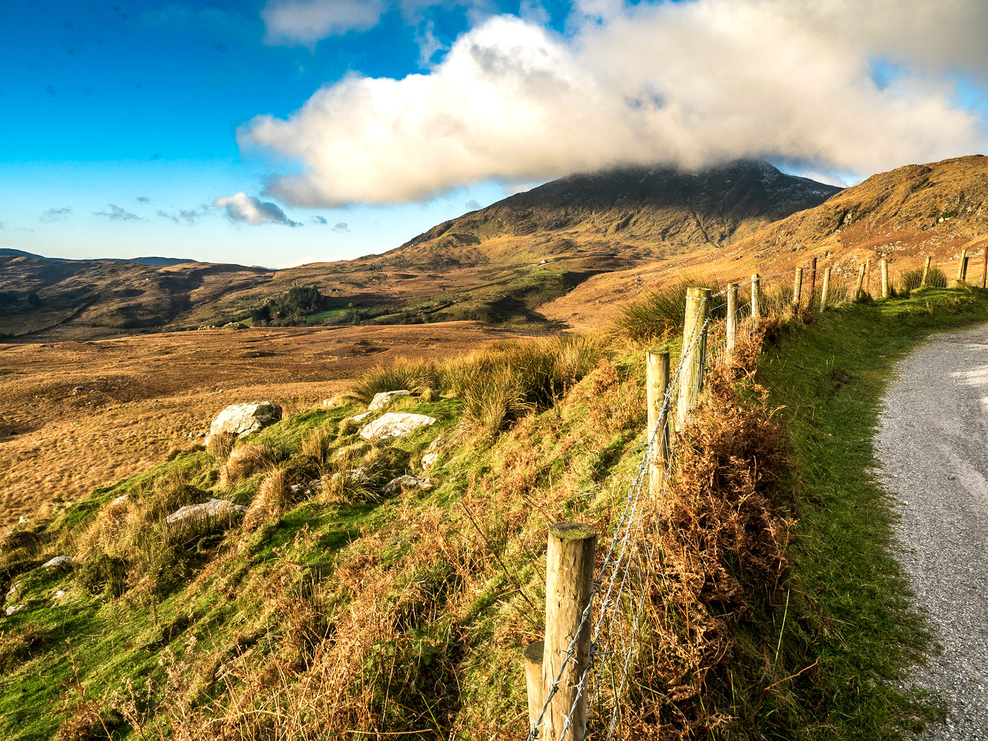 Between Kenmare and Moll's Gap, Co Kerry, 21 Nov 2016