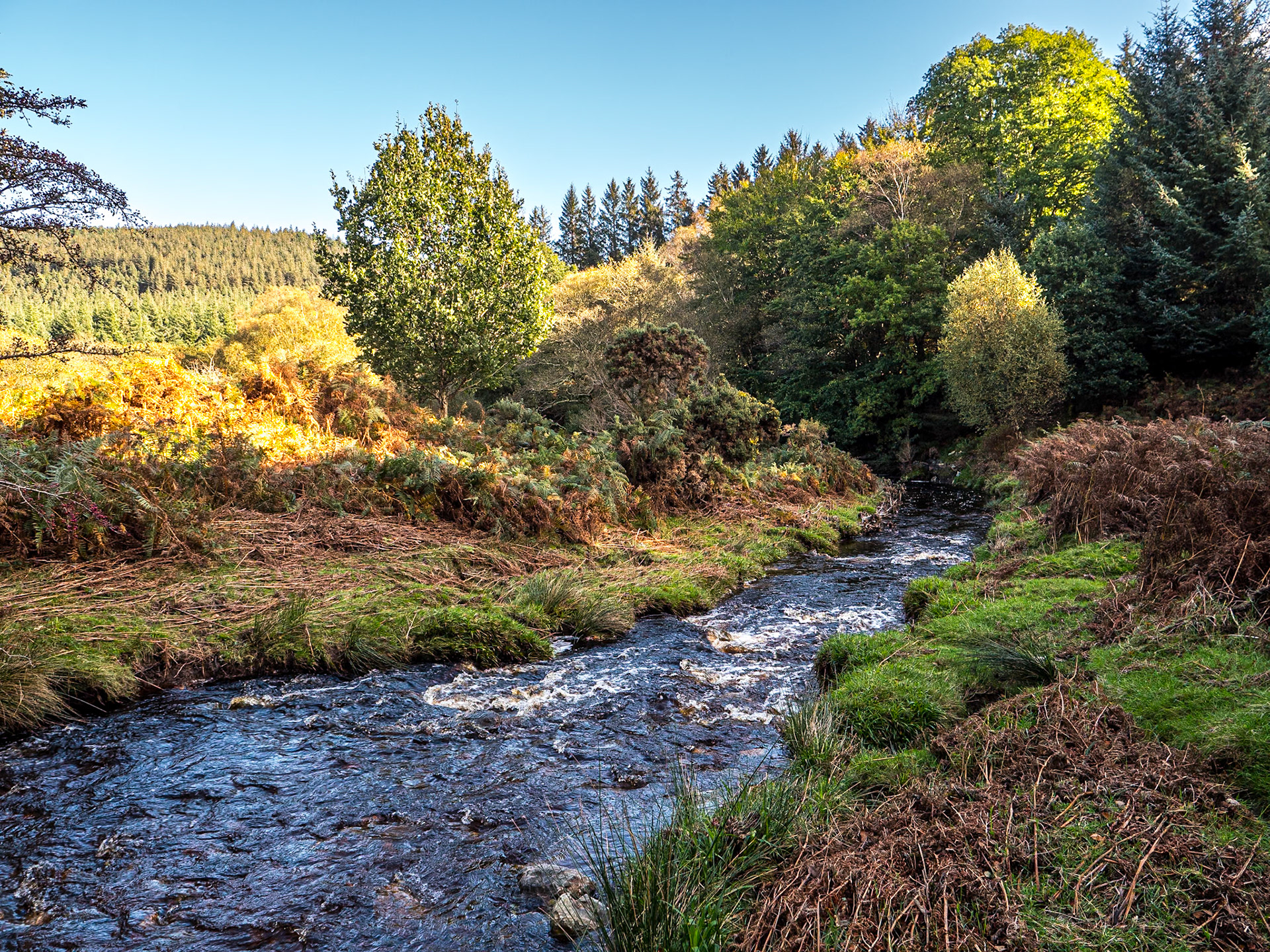 Powerscourt Waterfall walk, Co Wicklow, 13 Oct 2023