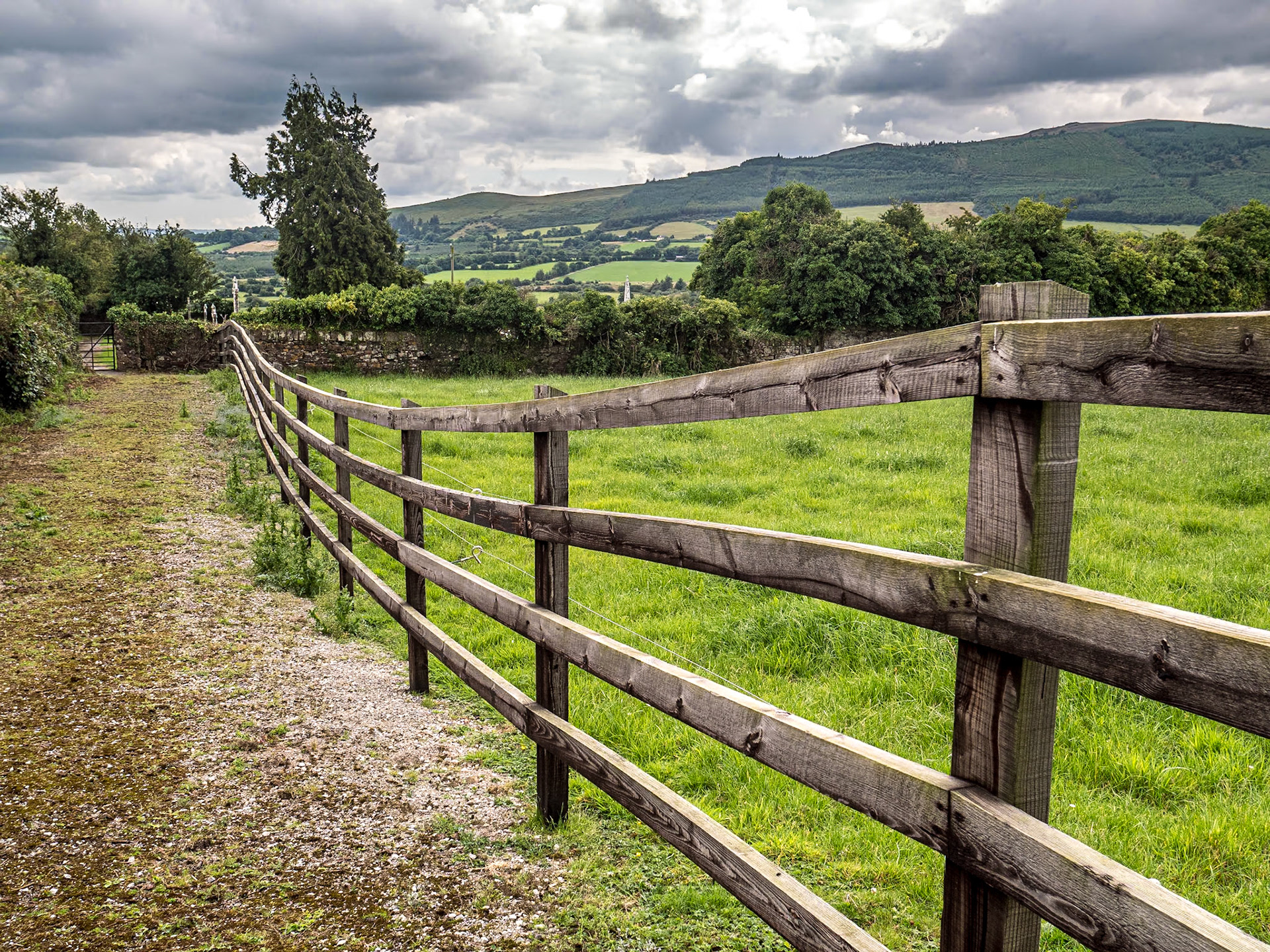 Abbey Graveyard, near Ballyorgan, Co Limerick, 1 Aug 2019
