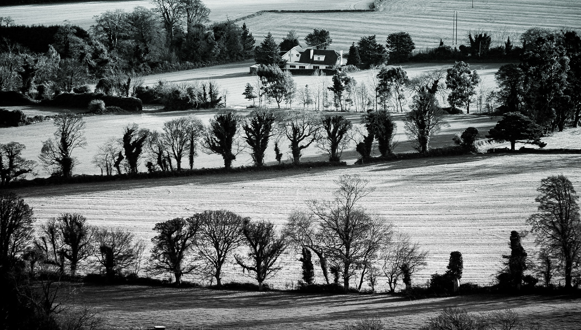 View from Carrickgollogan, 28 Nov 2014