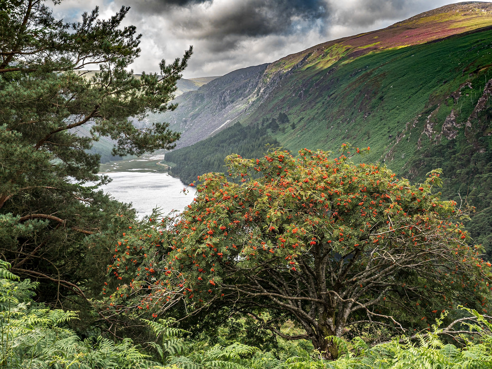 Glendalough, 12 Aug 2021