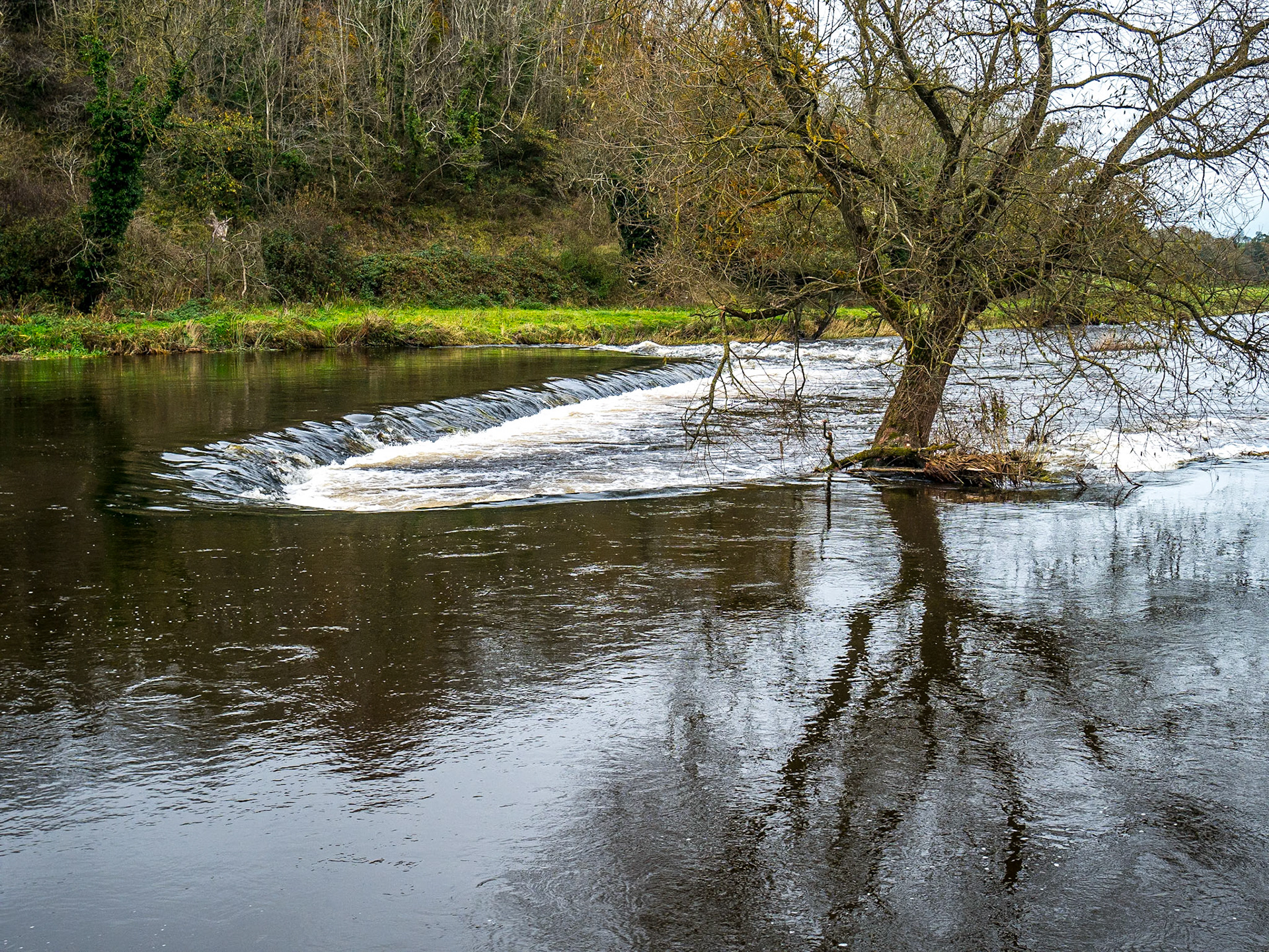 River Boyne, near Navan, Co Meath, 3 Nov 2017