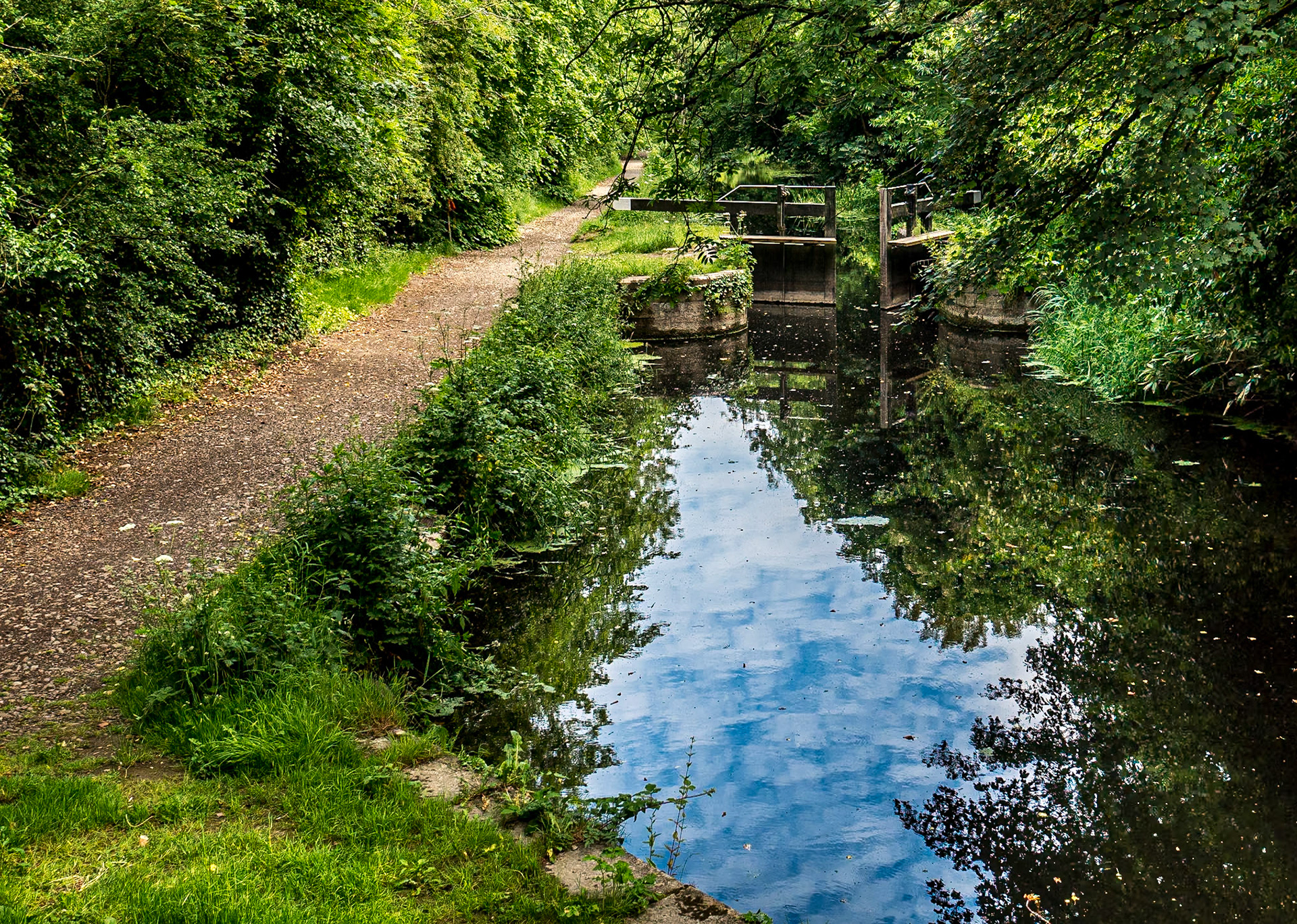 Boyne Canal, Co Meath, 24 Jun 2021
