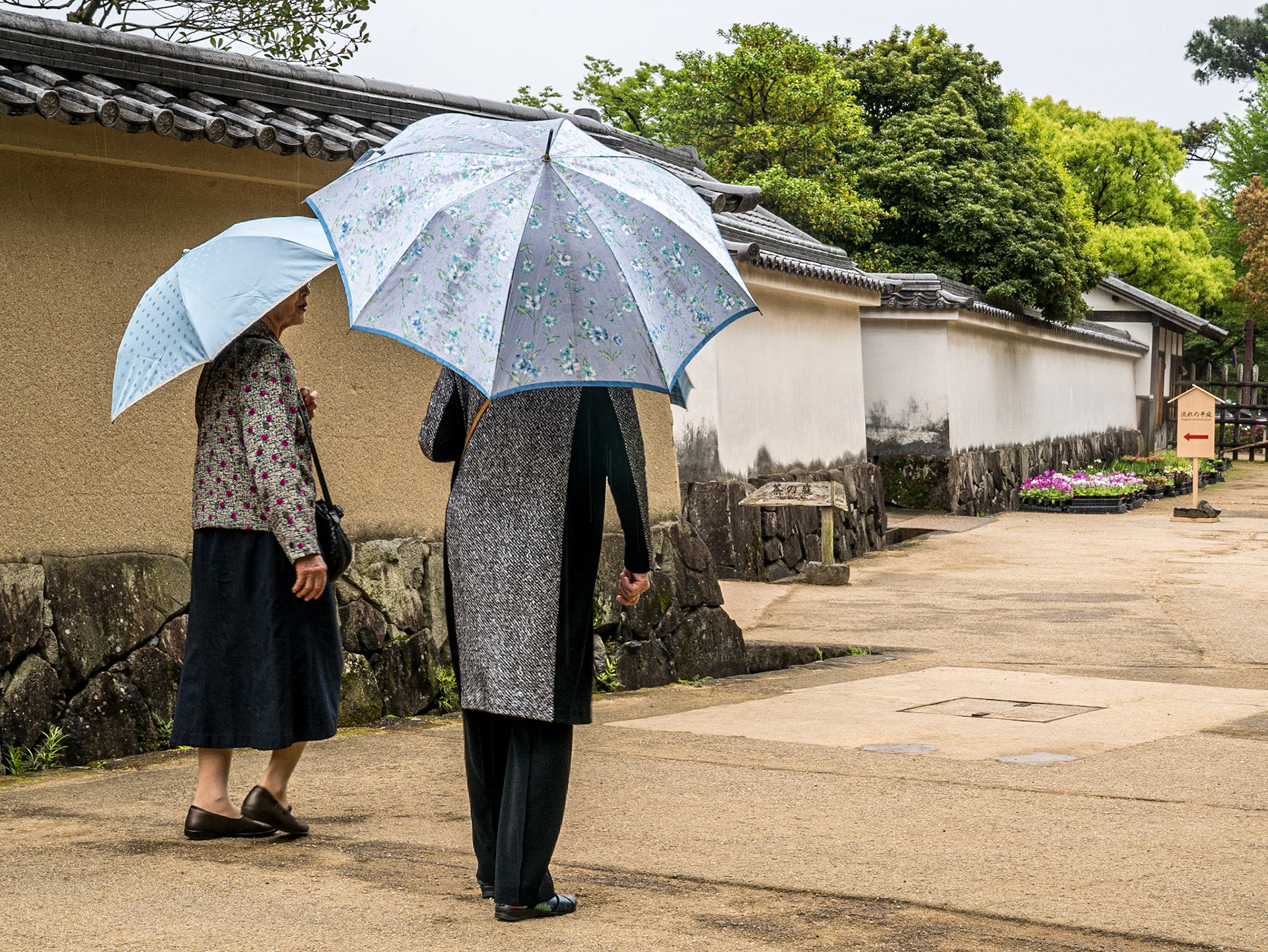 Koko-en garden, Himeji, 27 Apr 2016