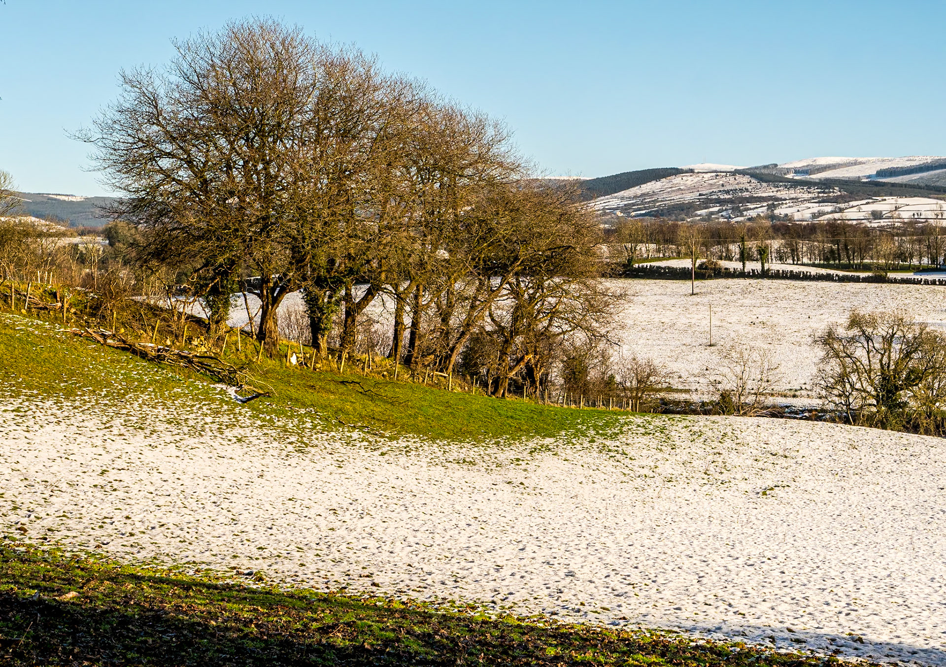 By the Ulster American Folk Park, Co Tyrone, 20 Jan 2023