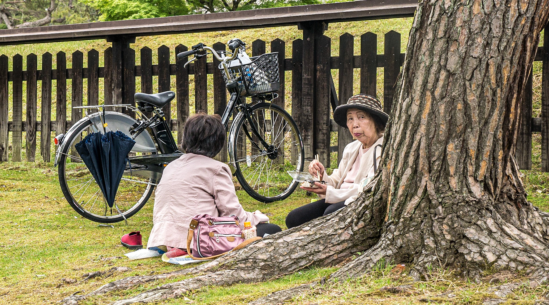 Kofuku-ji temple, Nara, 25 Apr 2016