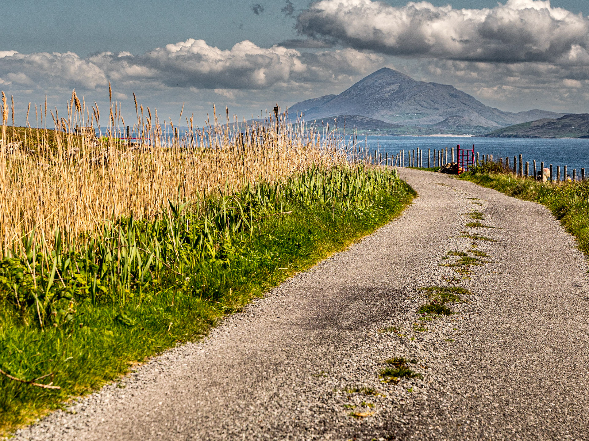 Clare Island, 12 May 2023
