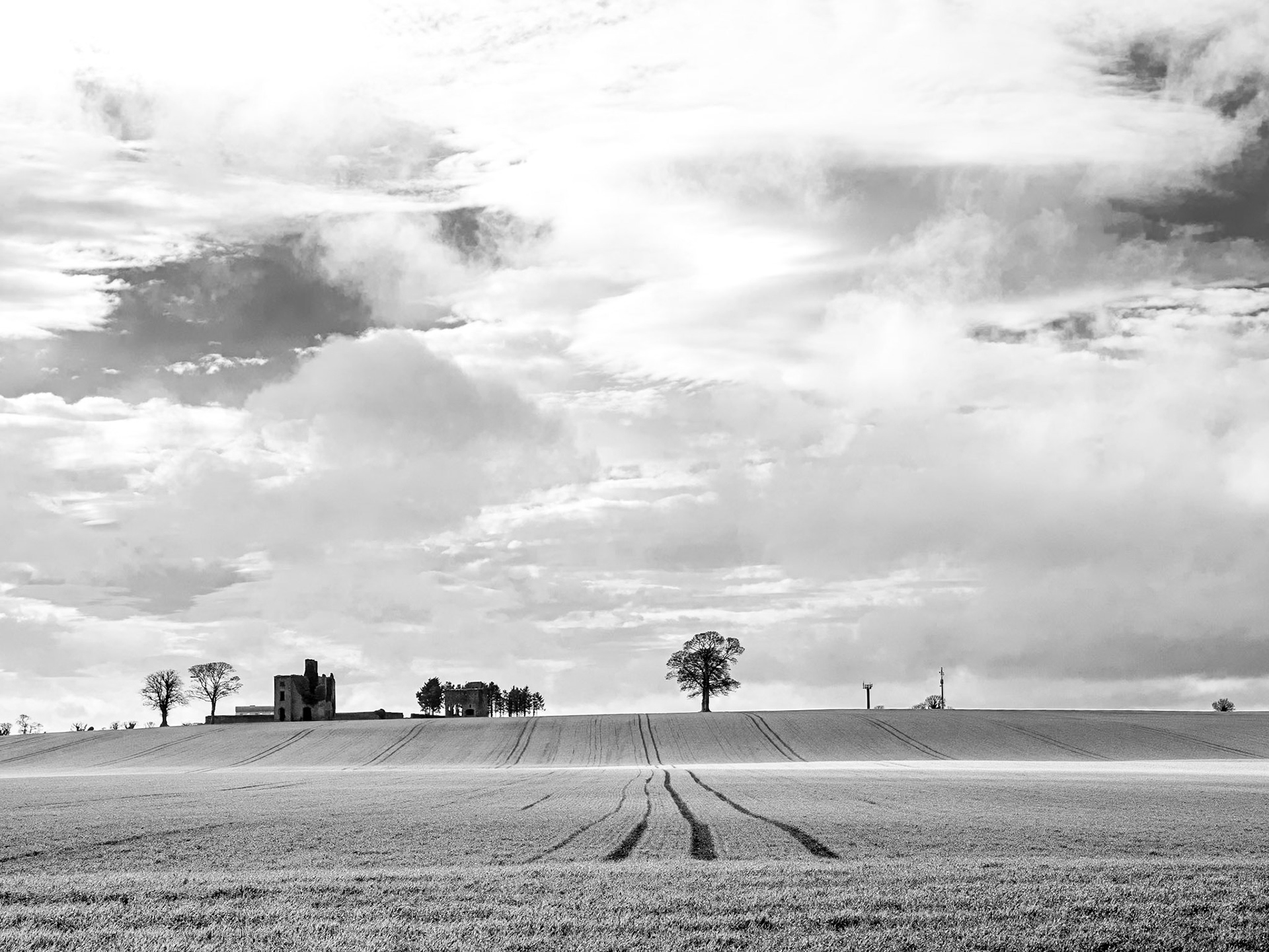 Rathcoffey, Co Kildare, 18 Feb 2015