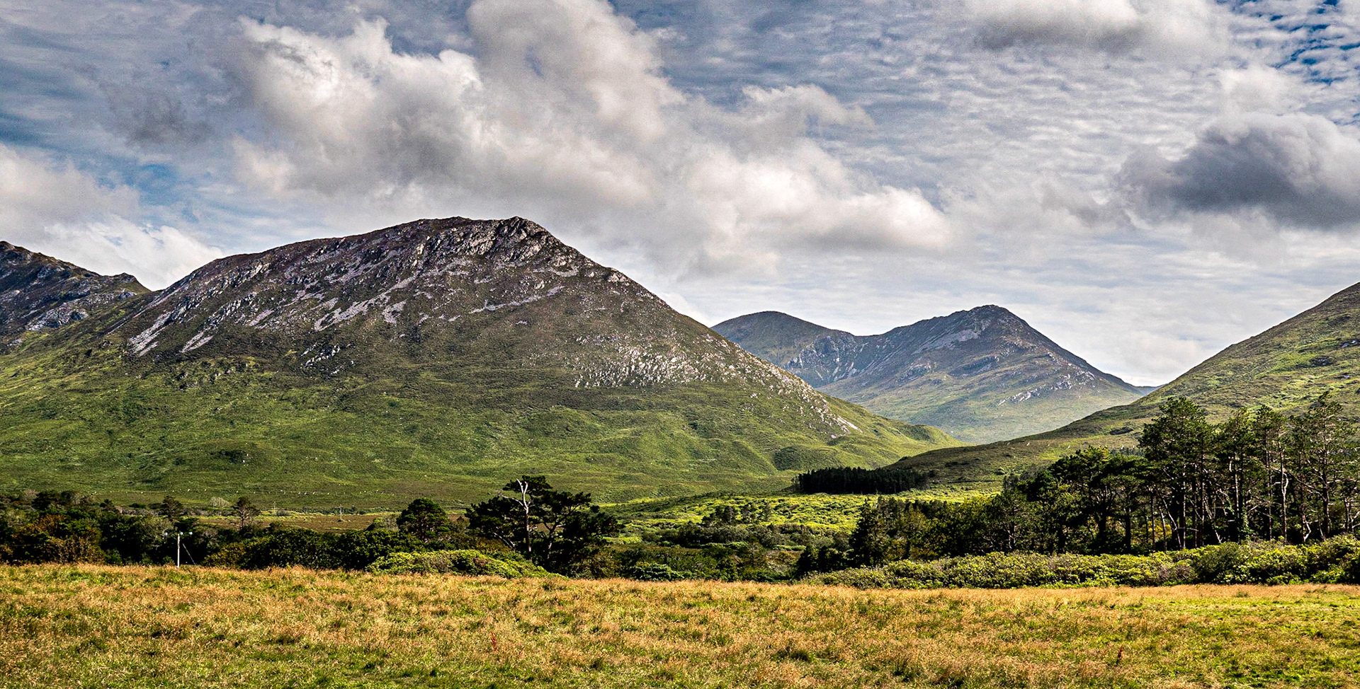 By the Walled garden, Kylemore Abbey, Co Galway, 30 Jul 2020