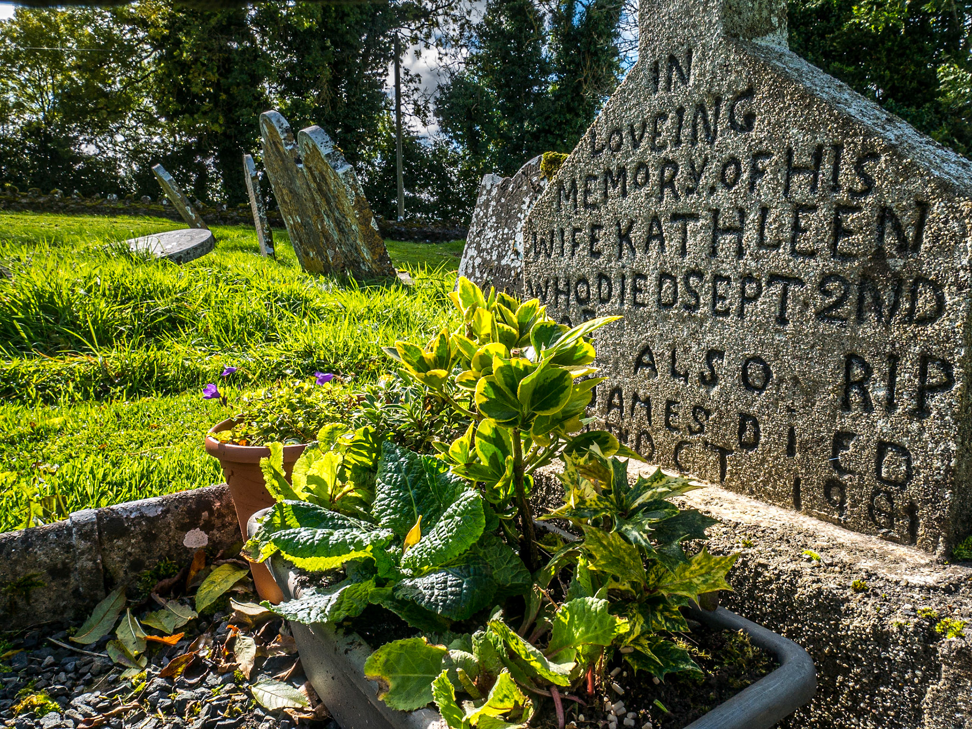 Old Pollardstown Church, Co Kildare, 5 Oct 2017