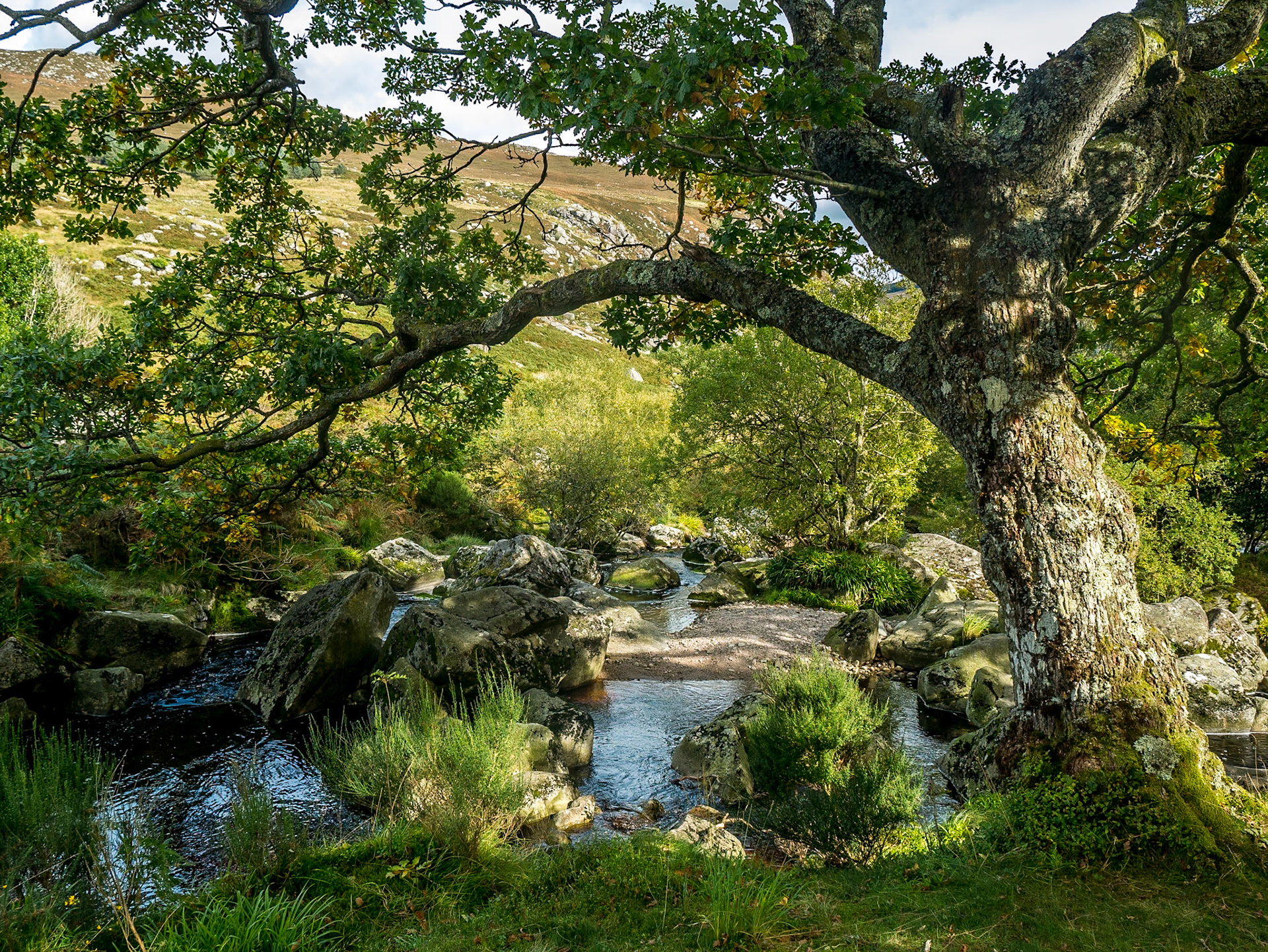 Inchavore River, Co Wicklow, 30 Sep 2016