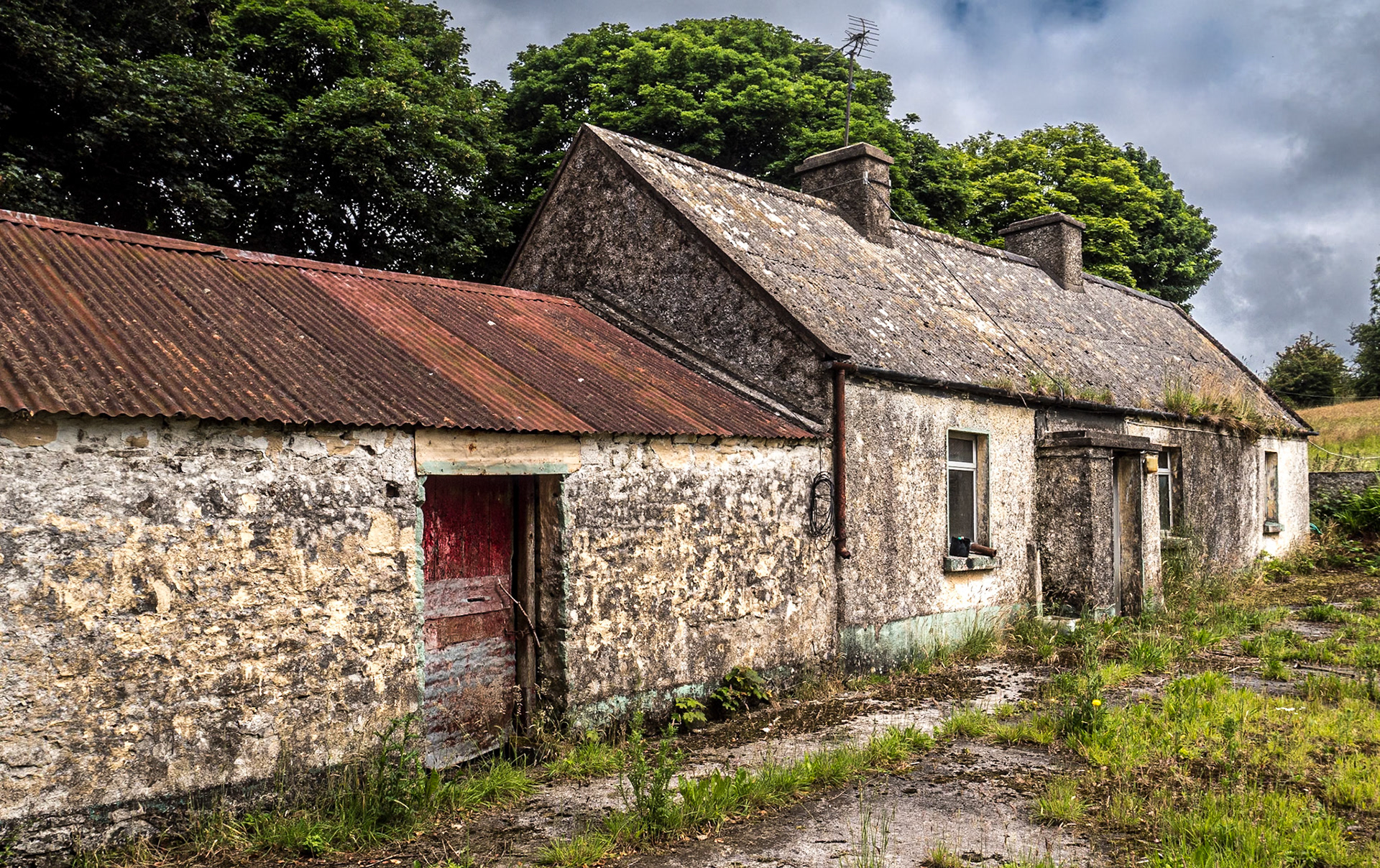 Near Callonfree, Co Cavan, 8 Jul 2021