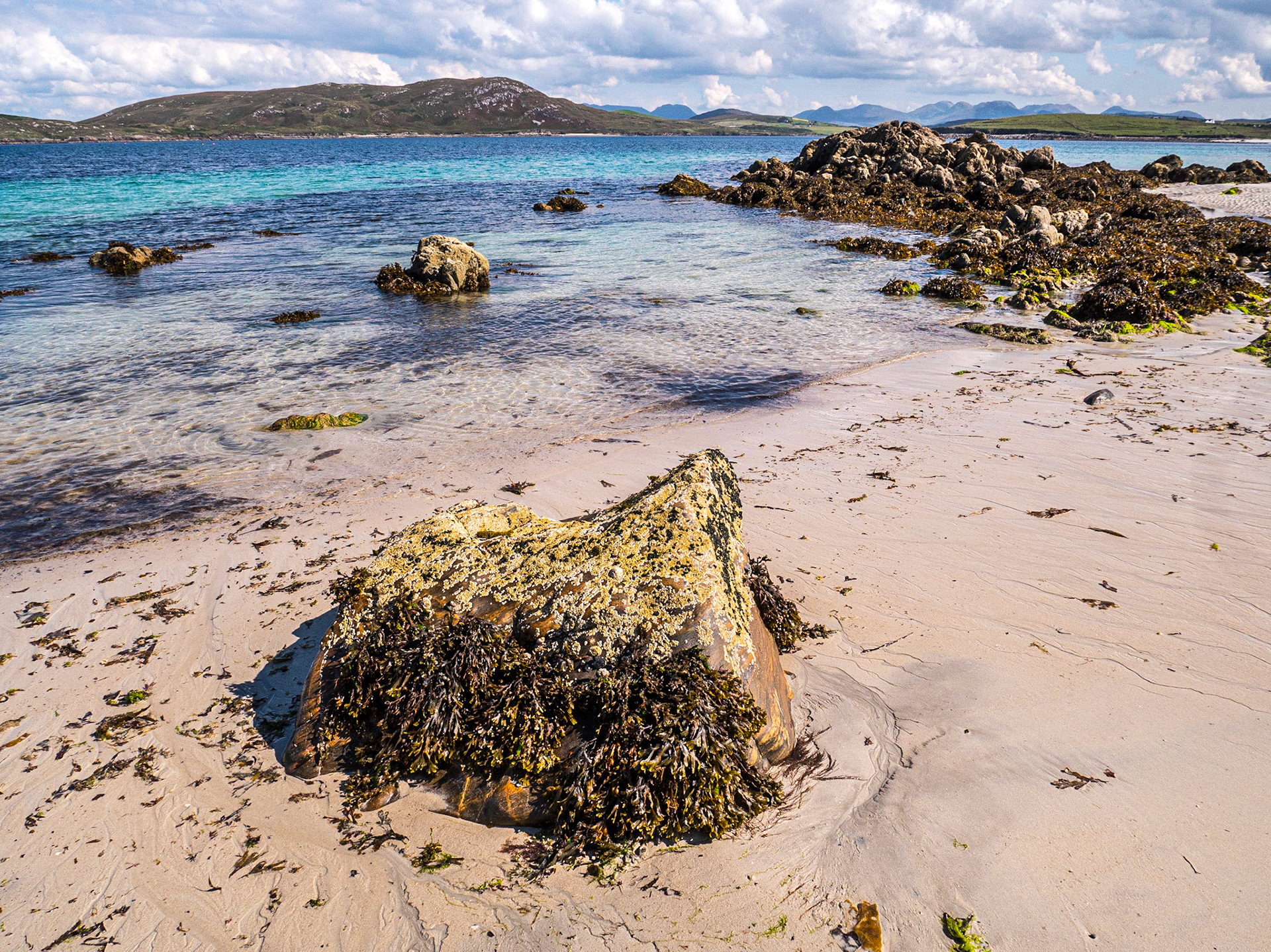 By Emlagh Beach, Connemara, 1 Sep 2022
