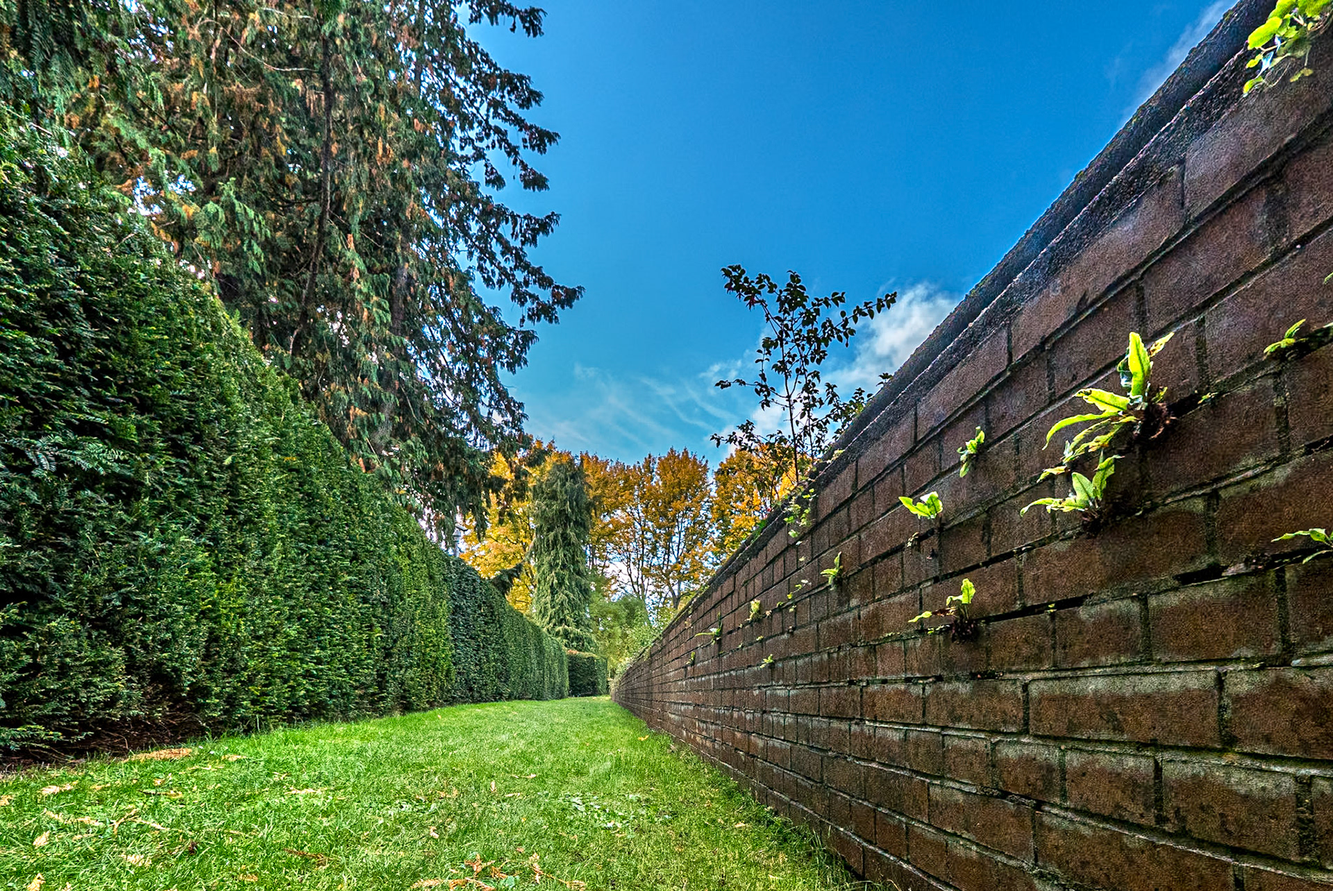 Farmleigh Estate, Dublin, 11 Oct 2020