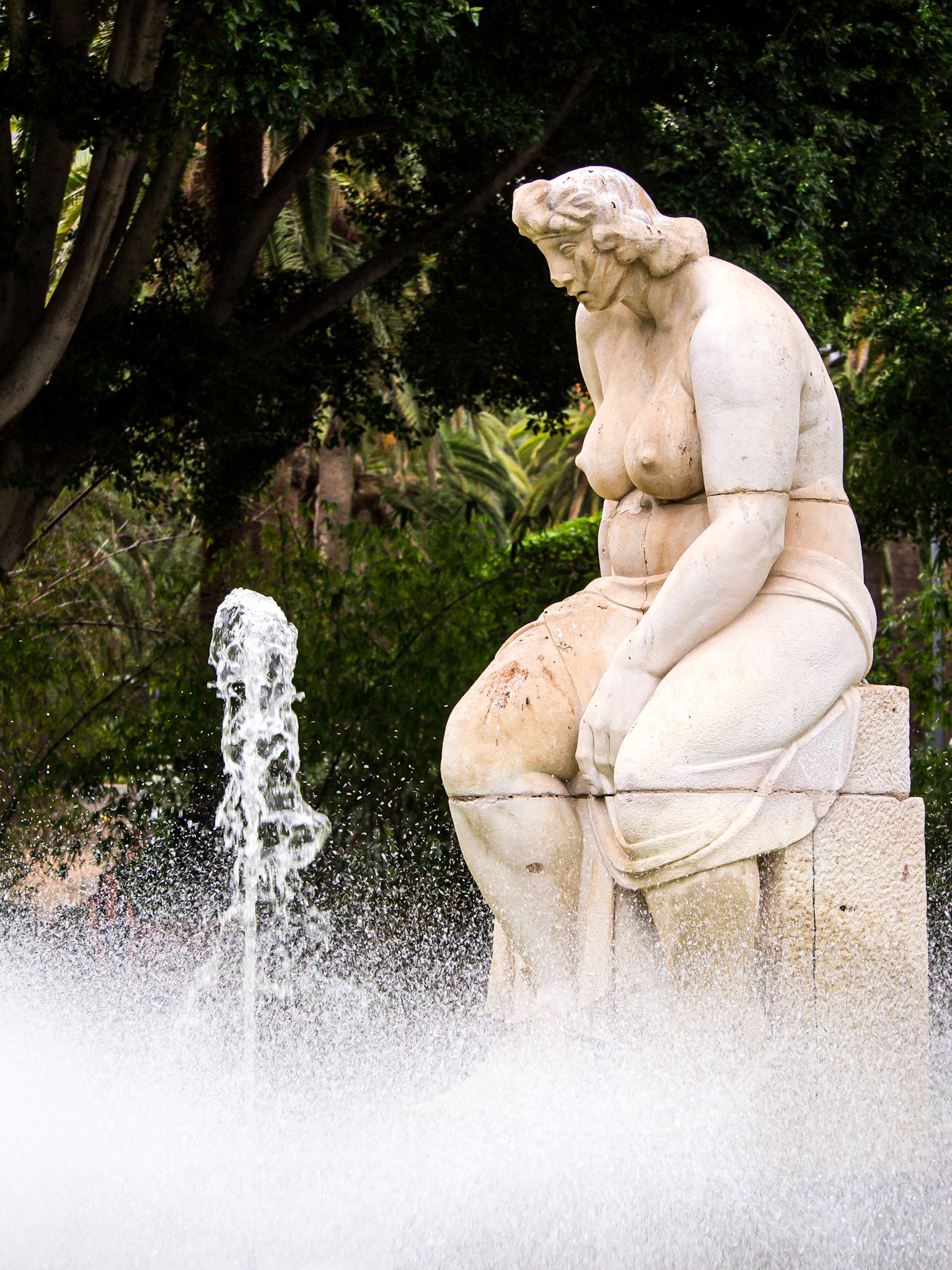 Parque García Sanabria, Santa Cruz, Tenerife, 22 Aug 2013