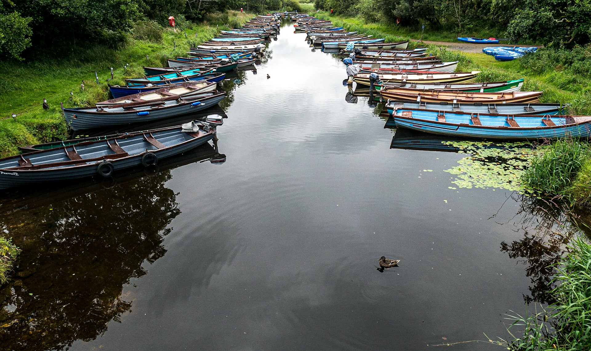 Boats at Ross Castle, Killarney, Co Kerry, 20 Jul 2015