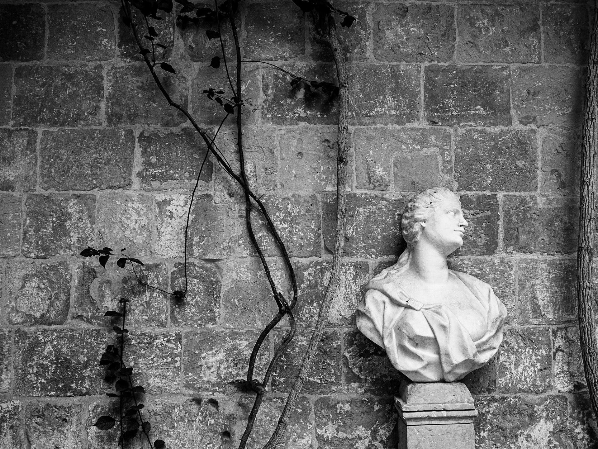 Palazzo Falson, Mdina, 20 Feb 2015