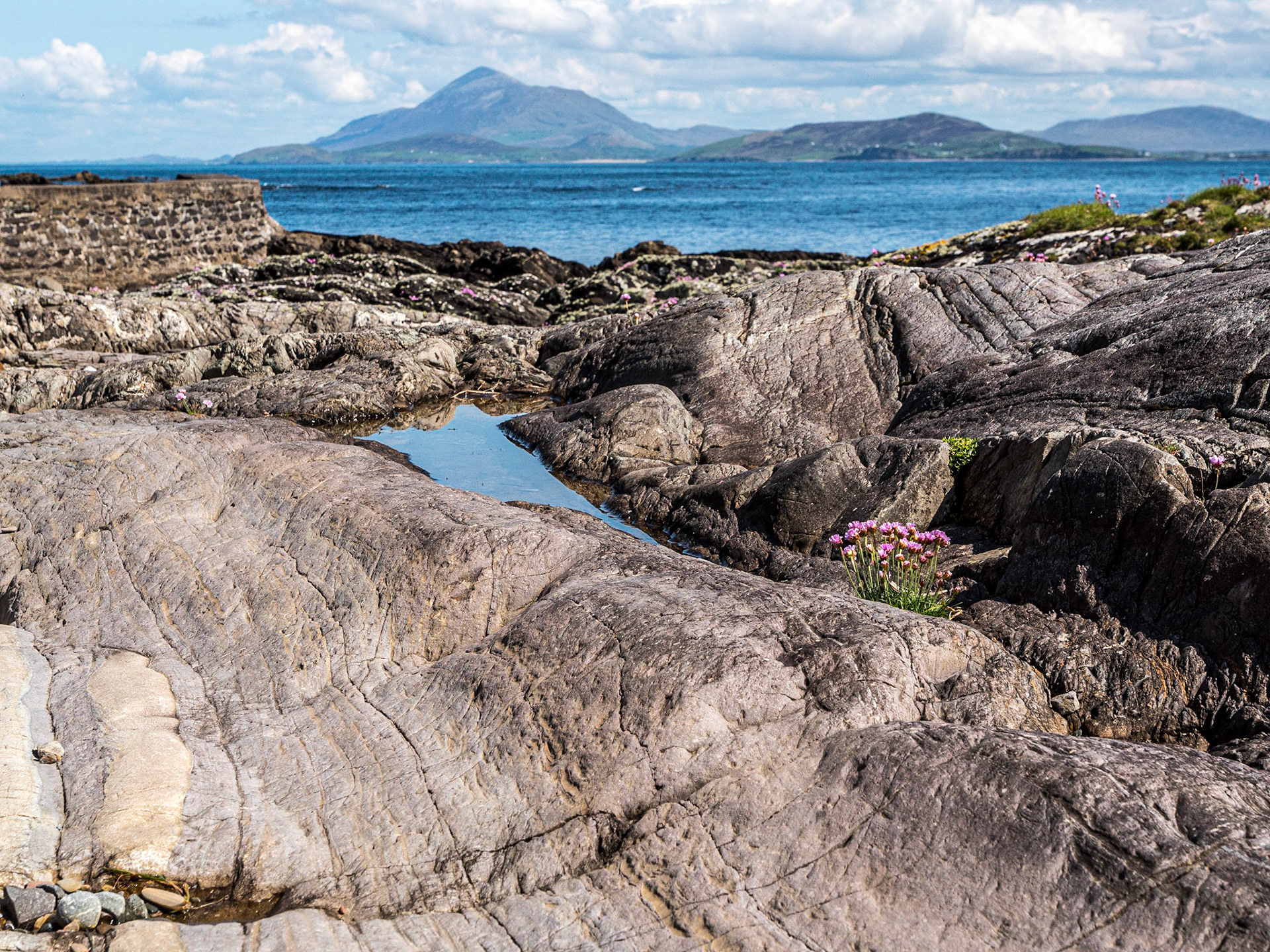 Clare Island, 12 May 2023