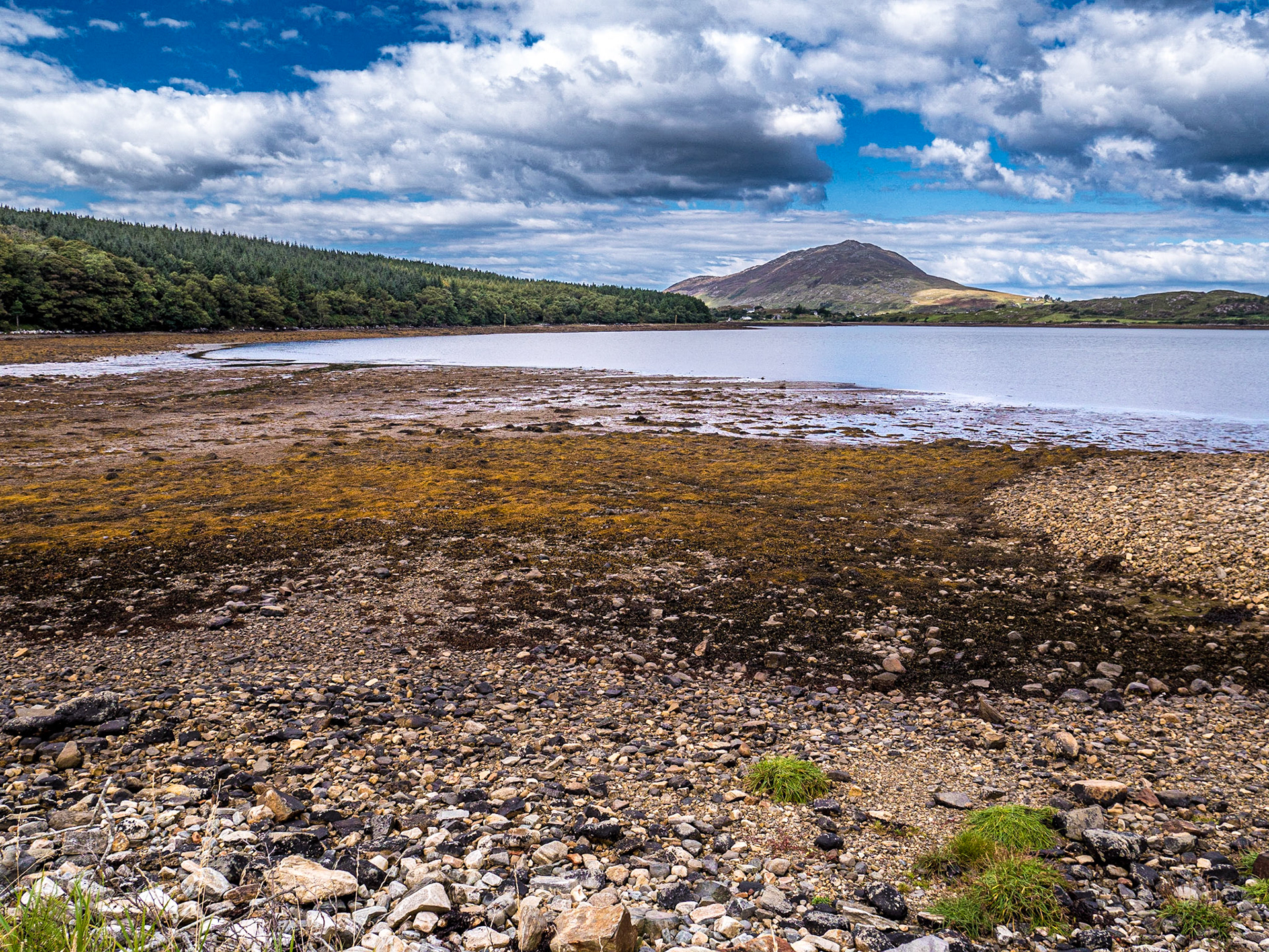 Near Letterfrack, Co Galway