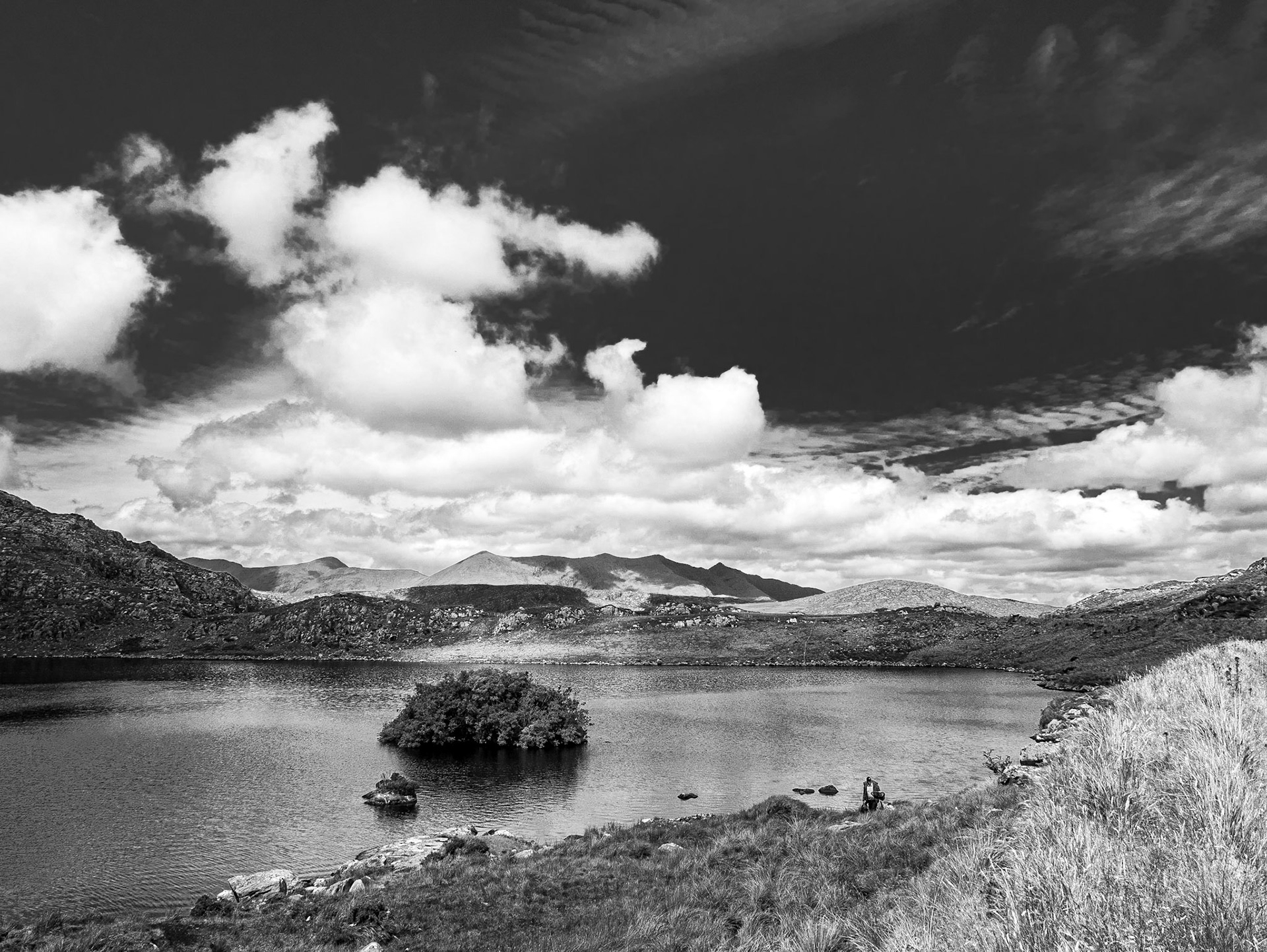 Loughbarfinnihy, near Moll's Gap, Co Kerry, 19 Jul 2015