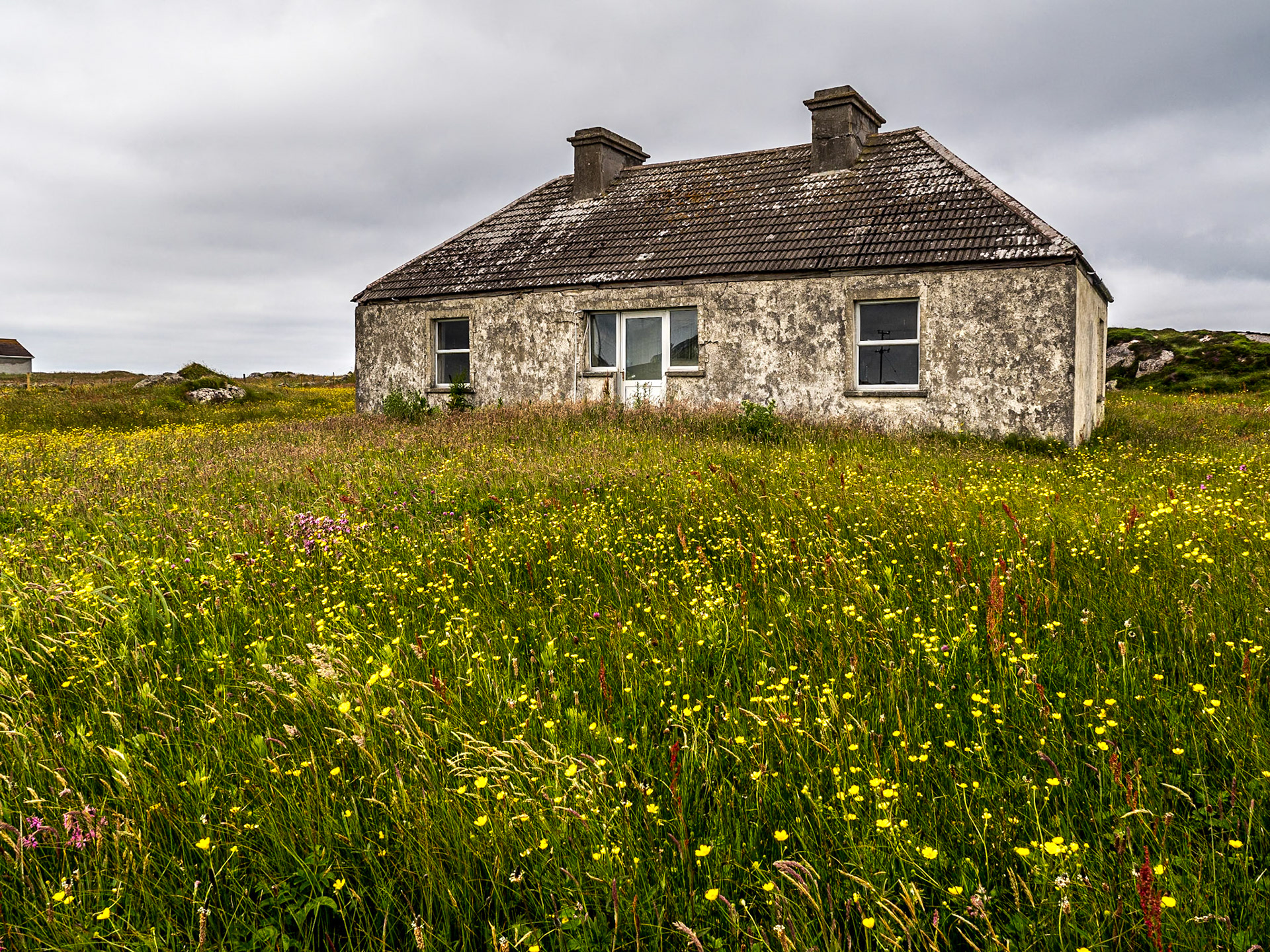 Aughrus Peninsula, Co Galway, 29 Jun 2021