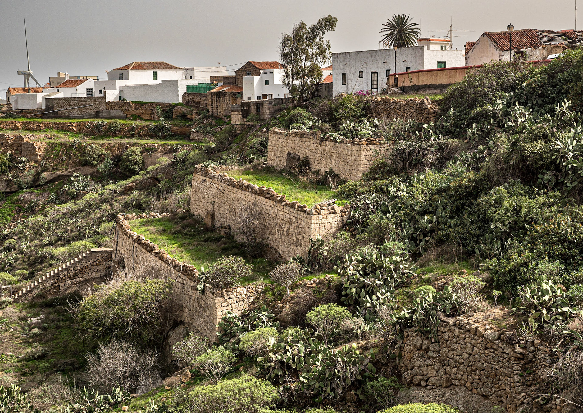 Arico el Nuevo, Tenerife, 4 Feb 2022