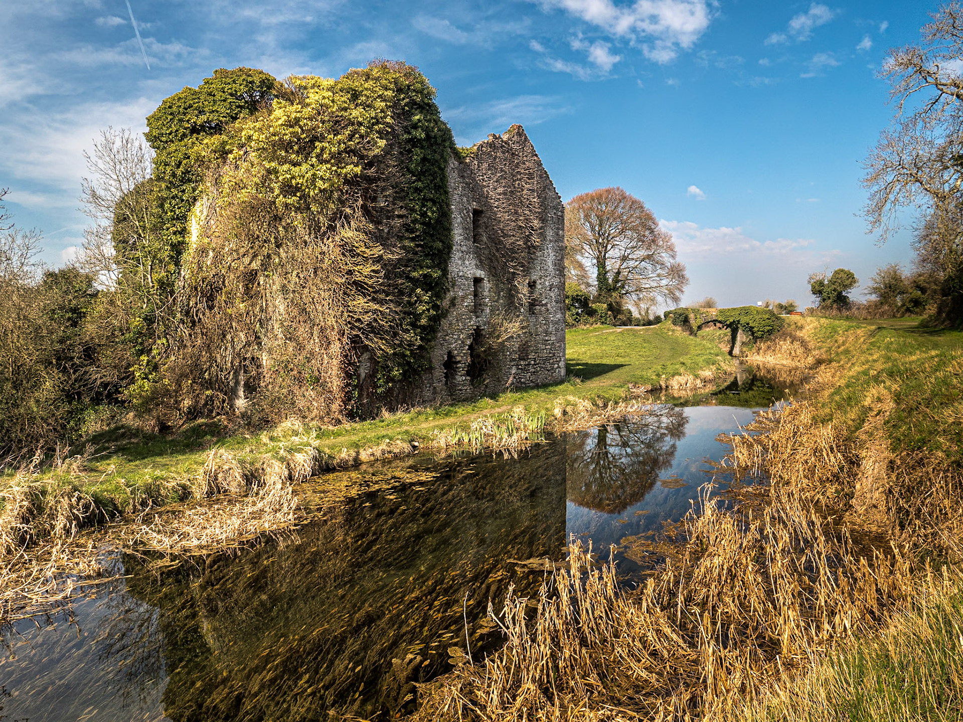 Mill ruin and bridge, Milltown, Co Kildare, 25 Mar 2022