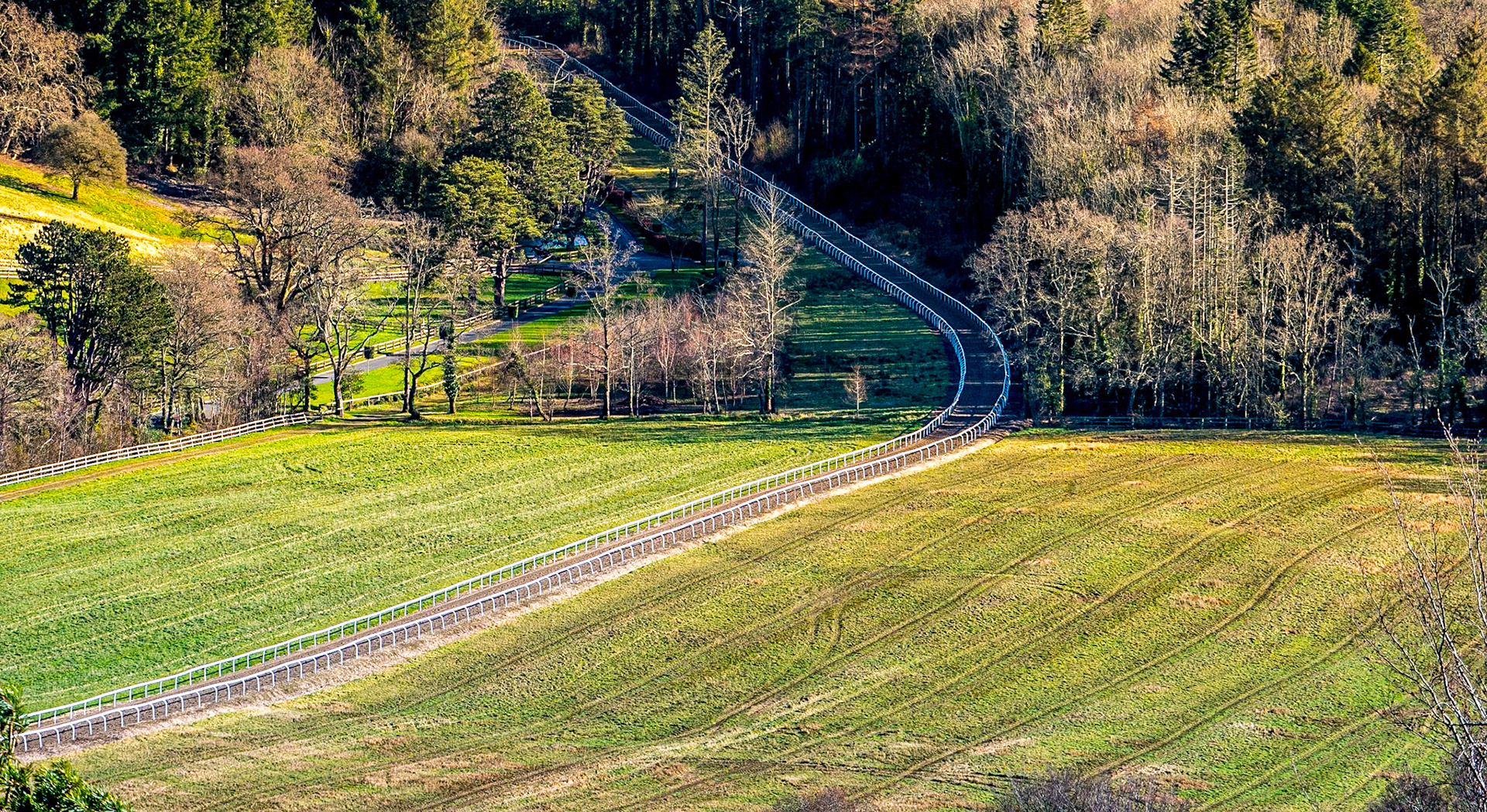 Devil's Glen, Co Wicklow, 9 Feb 2018