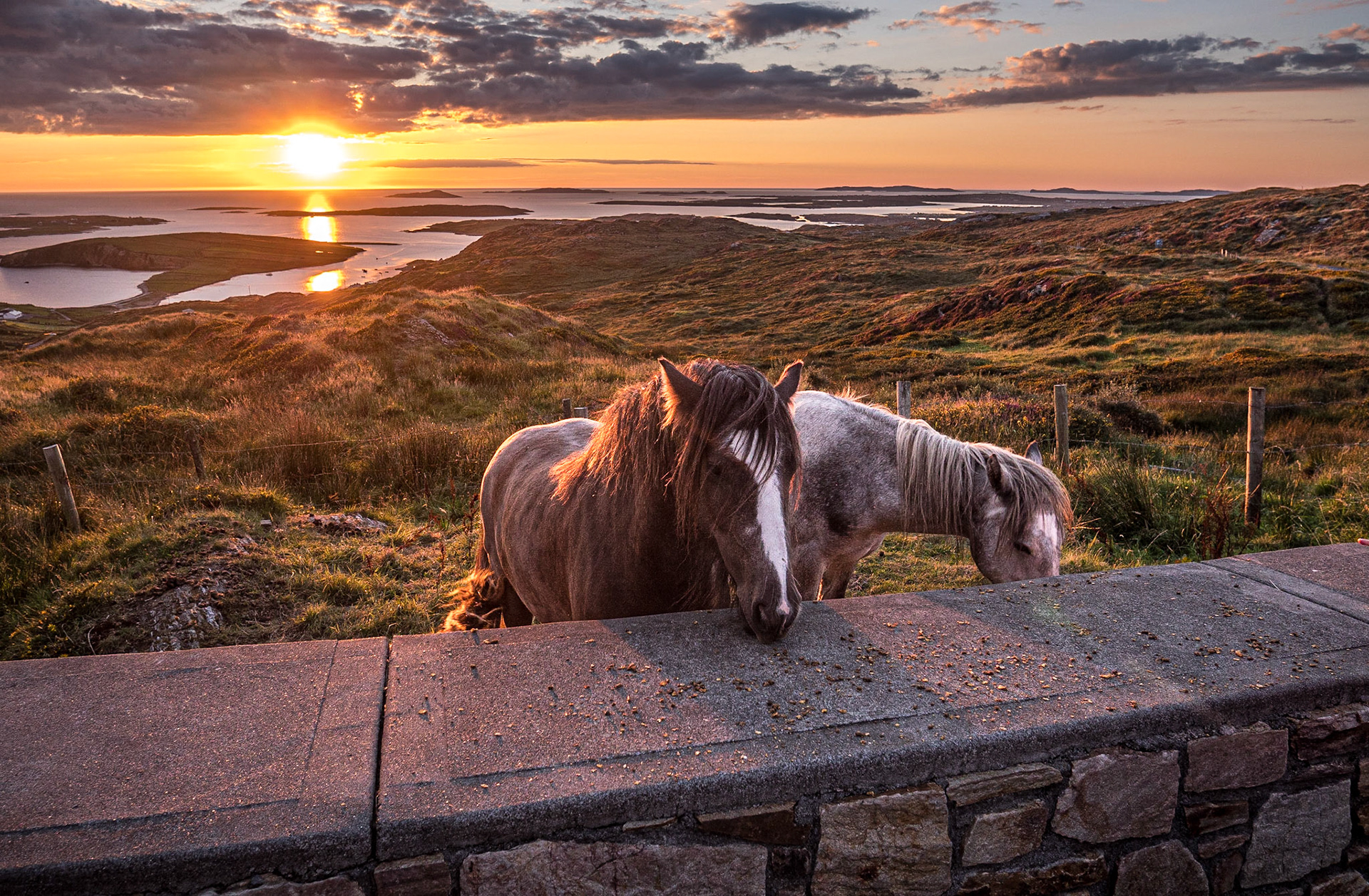 On the Sky Road, near Clifden, Co Galway, 31 Aug 2022