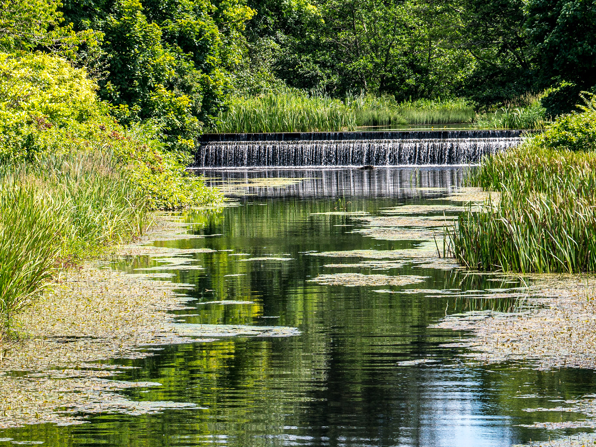 Grounds of Westport House, Co Mayo, 6 Jul 2017