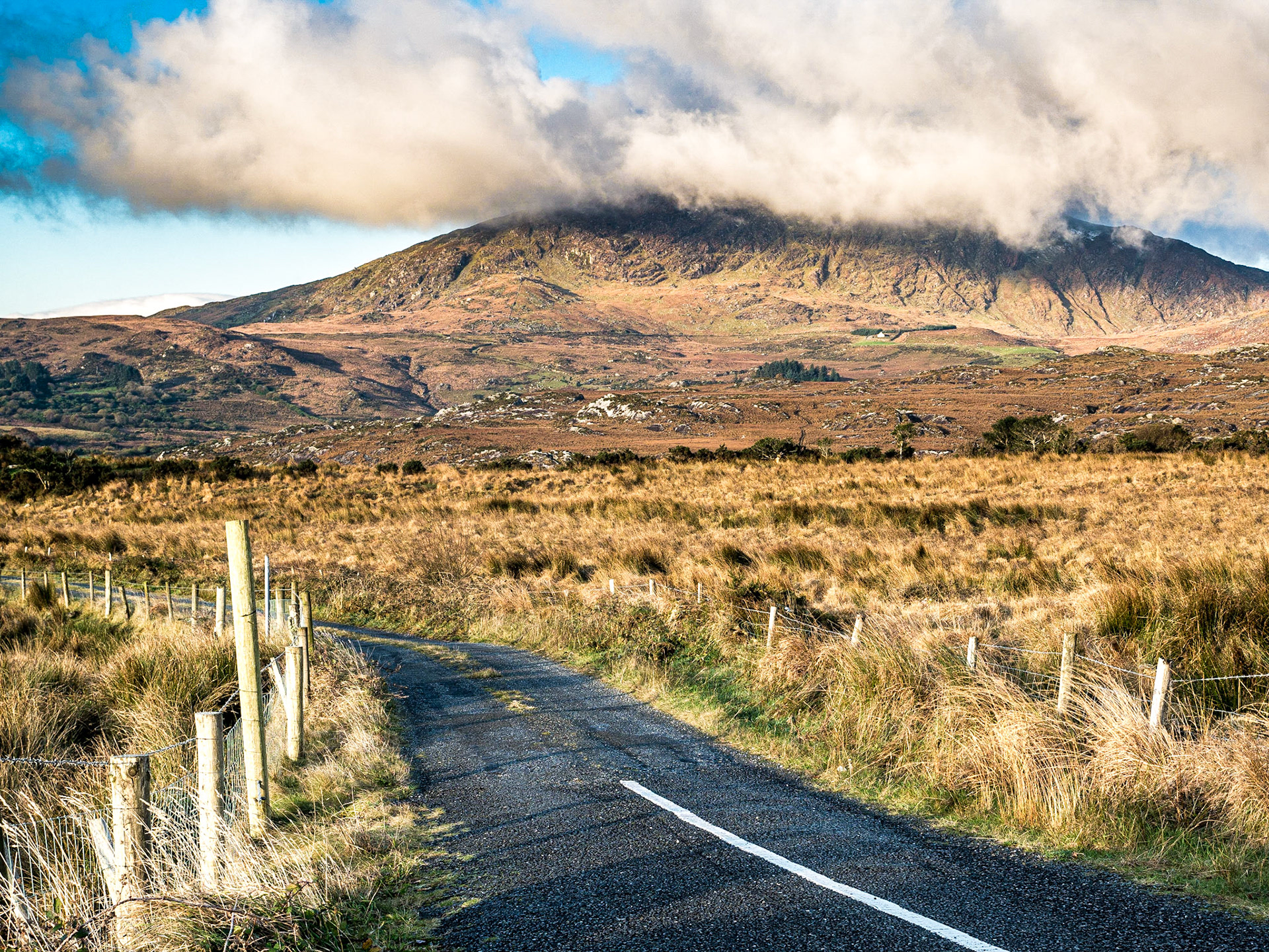 Between Kenmare and Moll's Gap, Co Kerry, 21 Nov 2016