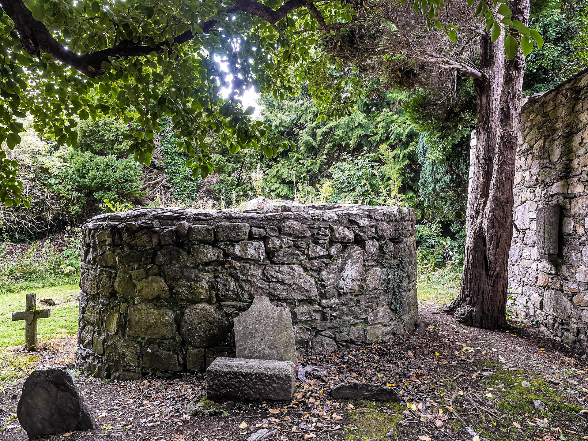 Rathmichael burial ground, Dublin, 29 Jul 2015