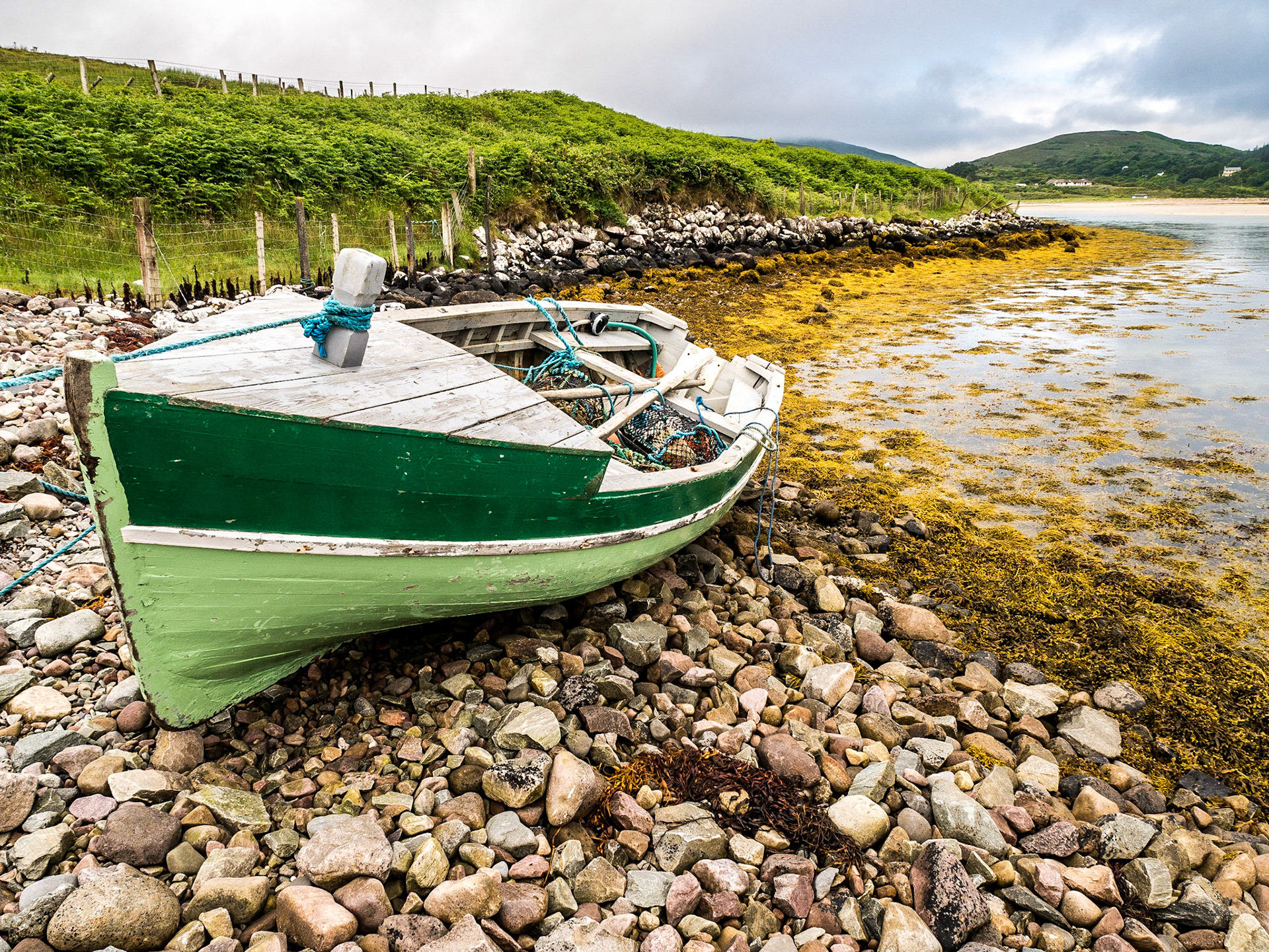 Causeway Loop Walk, Mulranny, Co Mayo, 18 Jun 2017
