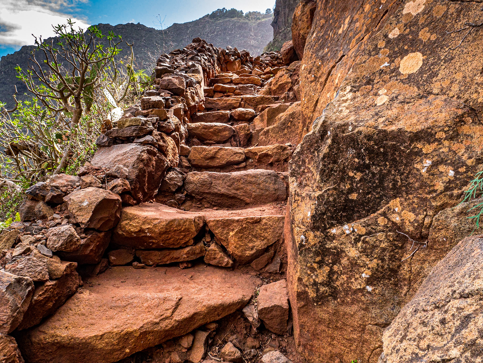Near Agulo, La Gomera, 28 Jan 2018