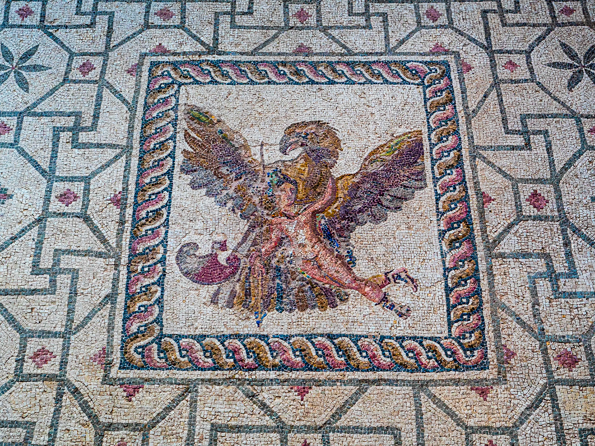 Floor mosaic, Archaeological Site of Nea Paphos, Cyprus, 9 Feb 2025