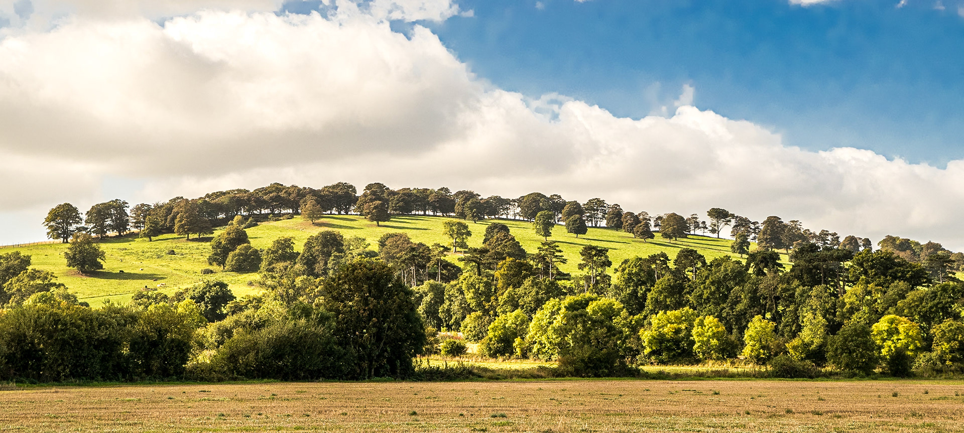 Athgoe Hill, Co Dublin, 26 Sep 2014