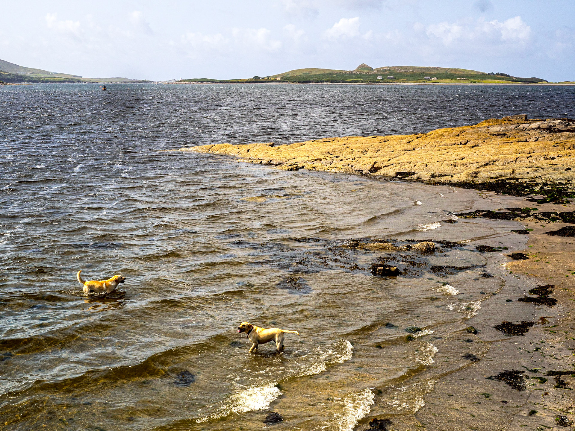 Reenard Point, Co Kerry, 19 Aug 2019