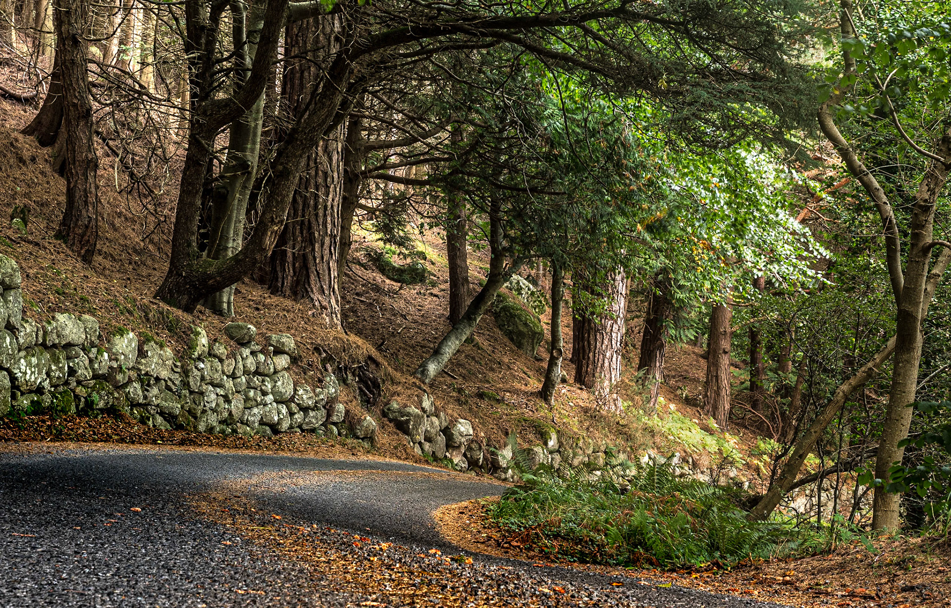 Knockree, Co  Wicklow, 12 Oct 2021