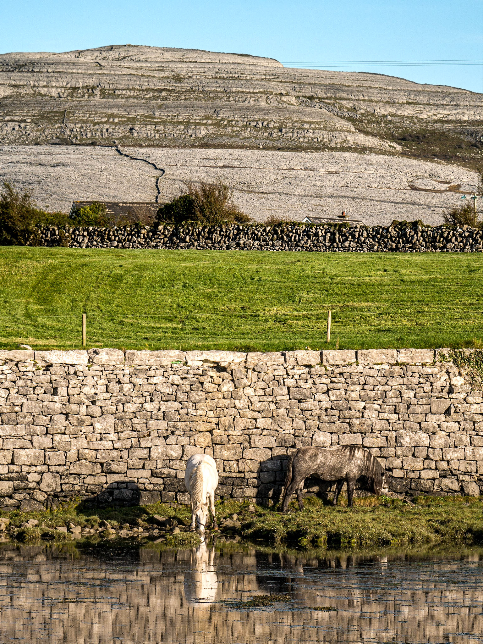 Ballyvaughan, Co Clare, 13 Oct 2015