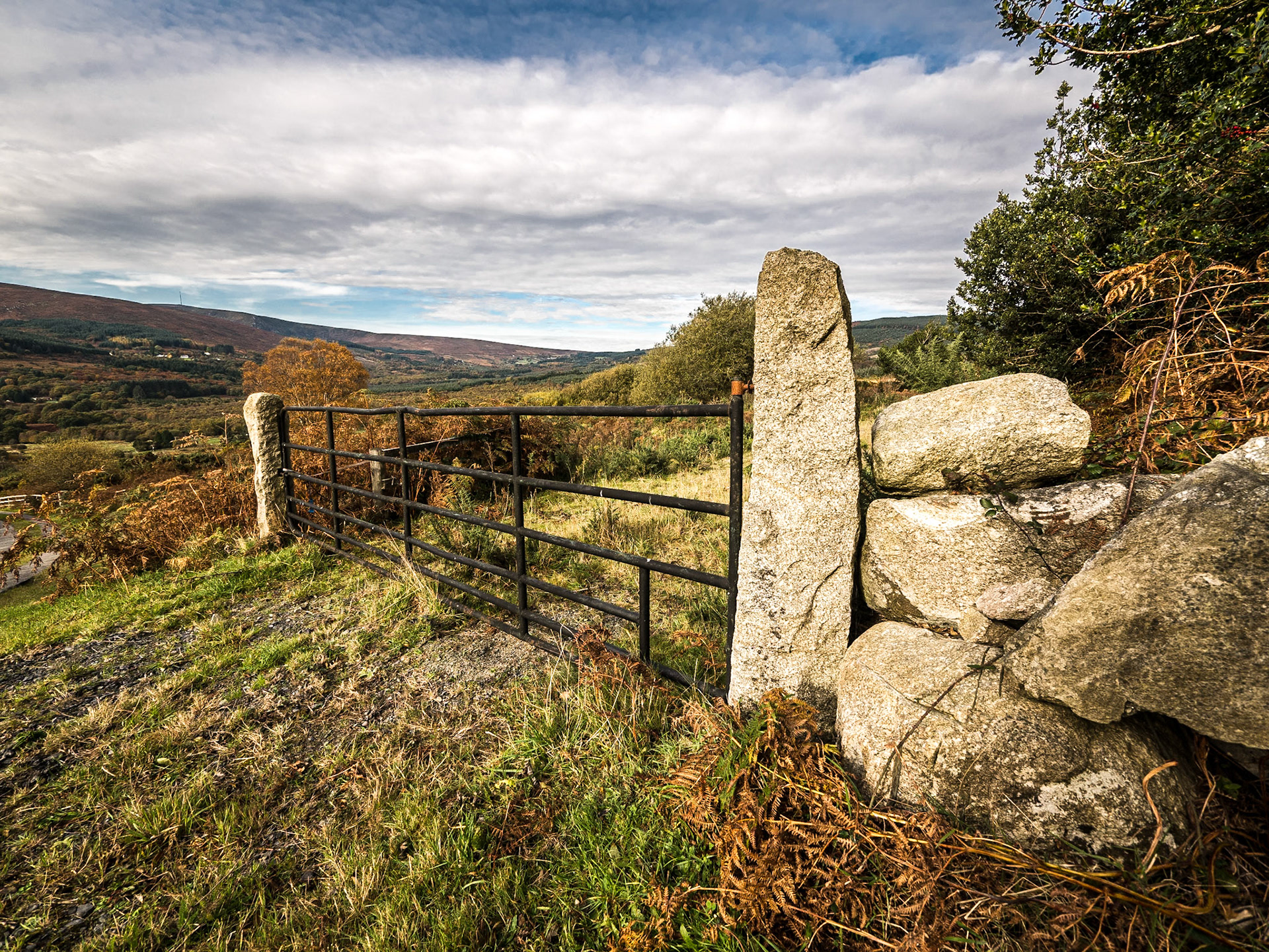 Knockree, Co Wicklow, 30 Oct 2016