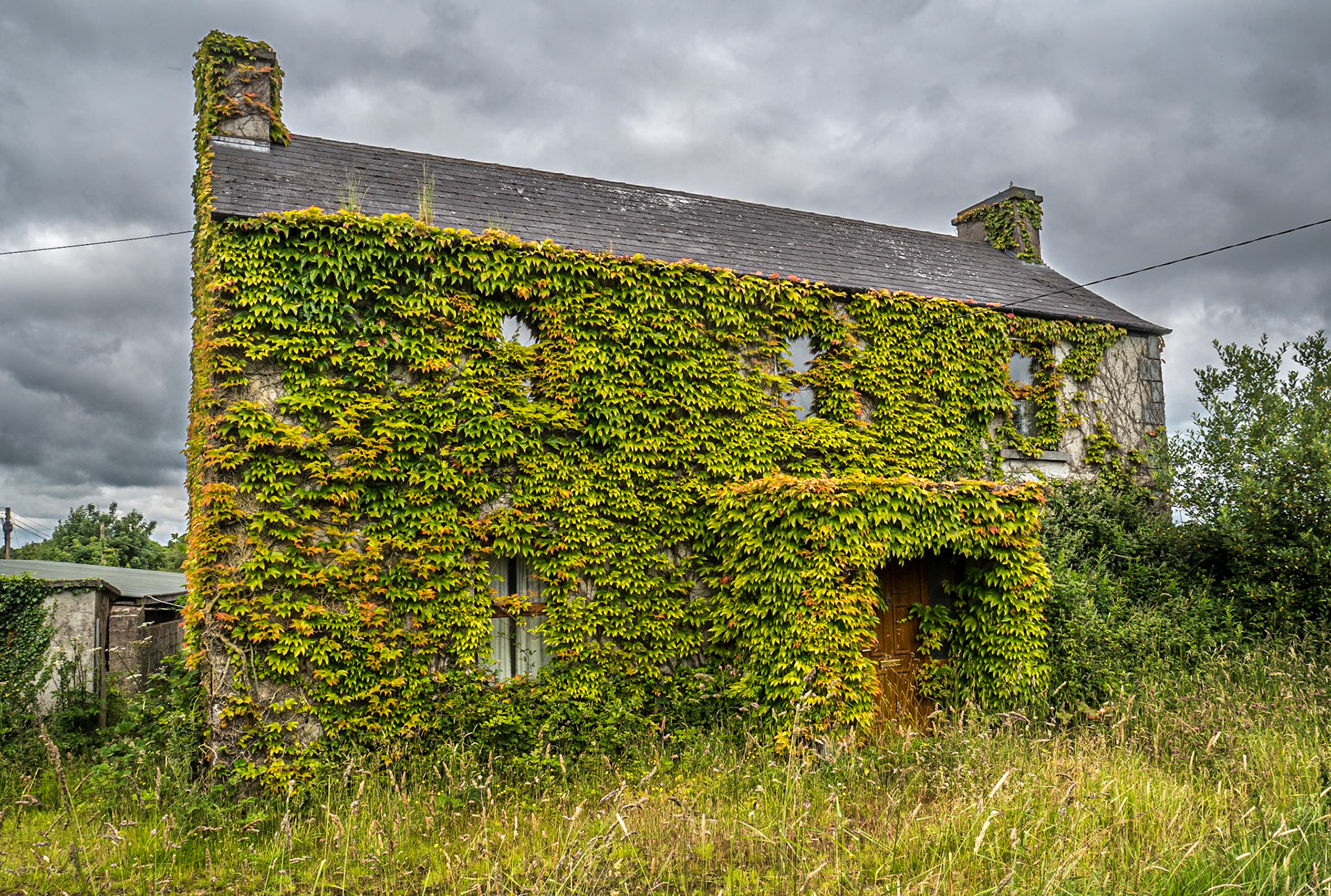 Mountnugent, Co Cavan, 8 Jul 2021