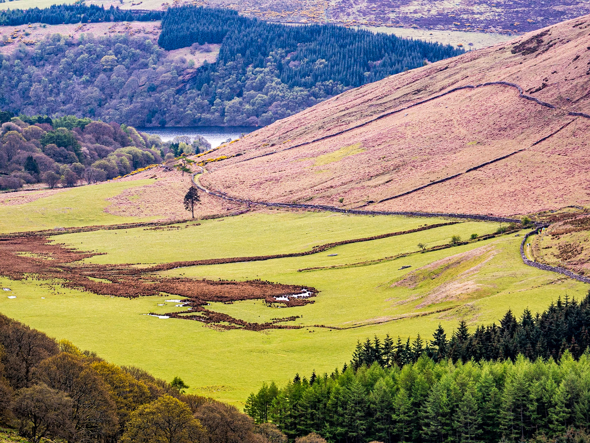 Walking from the Pier Gates to Lough Dan, 4 May 2015