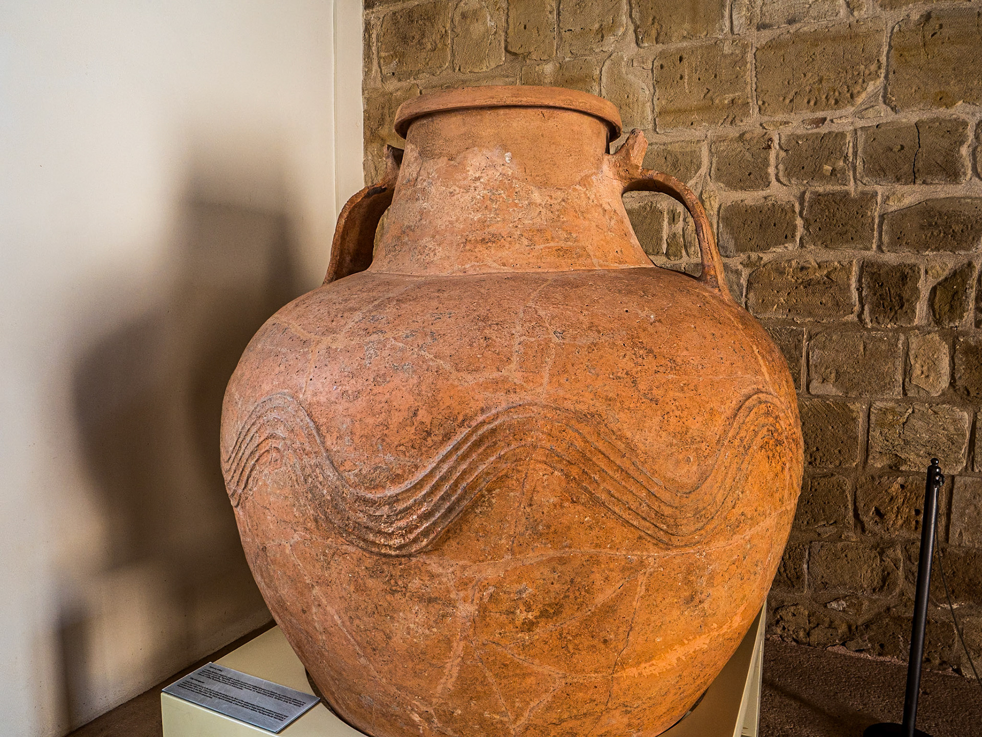 Clay storage jar, 14C, Archaeological Site of Palaepaphos, Cyprus, 11 Feb 2025