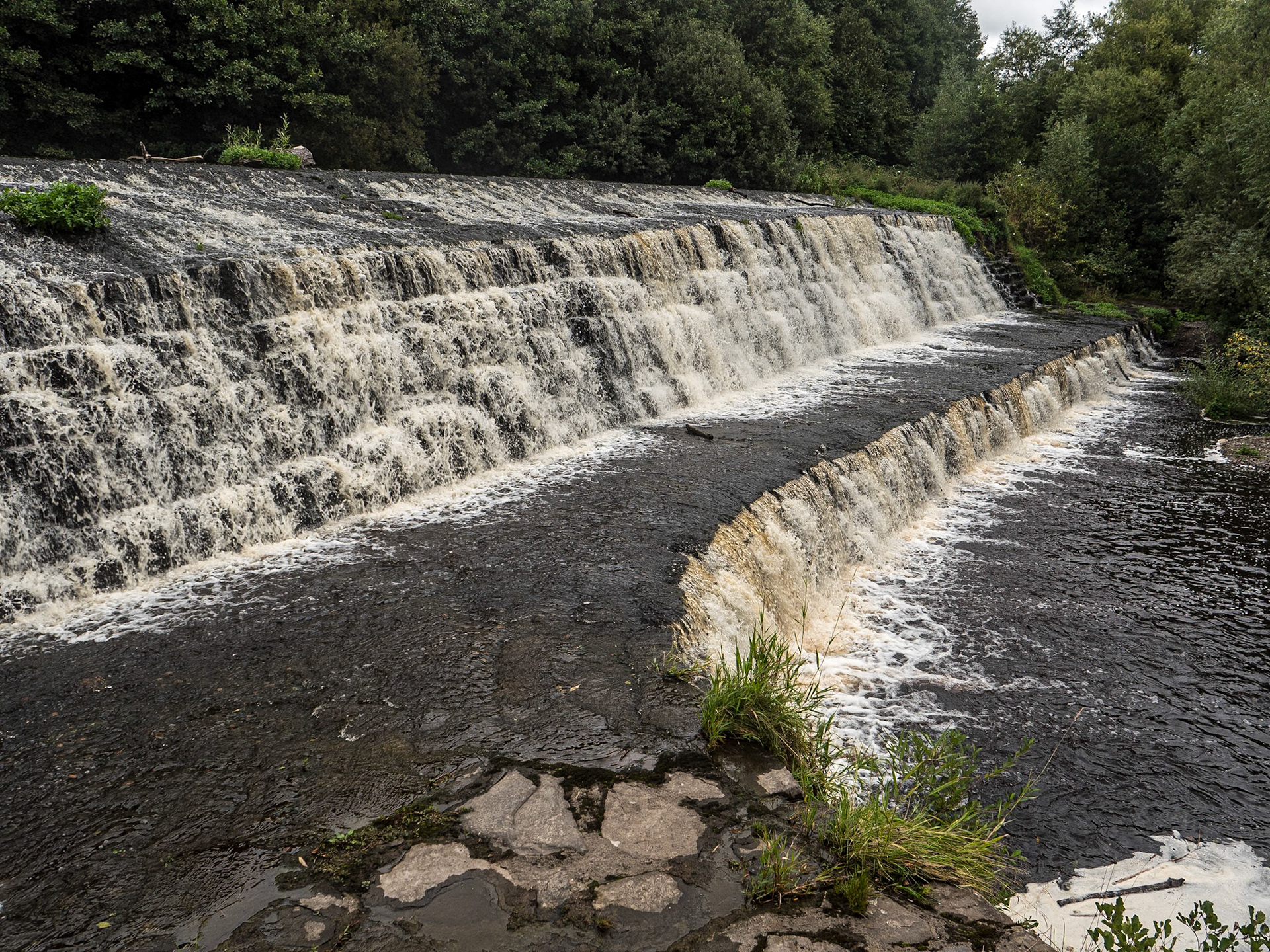 Balrothery Weir, Co Dublin, 5 Sep 2024