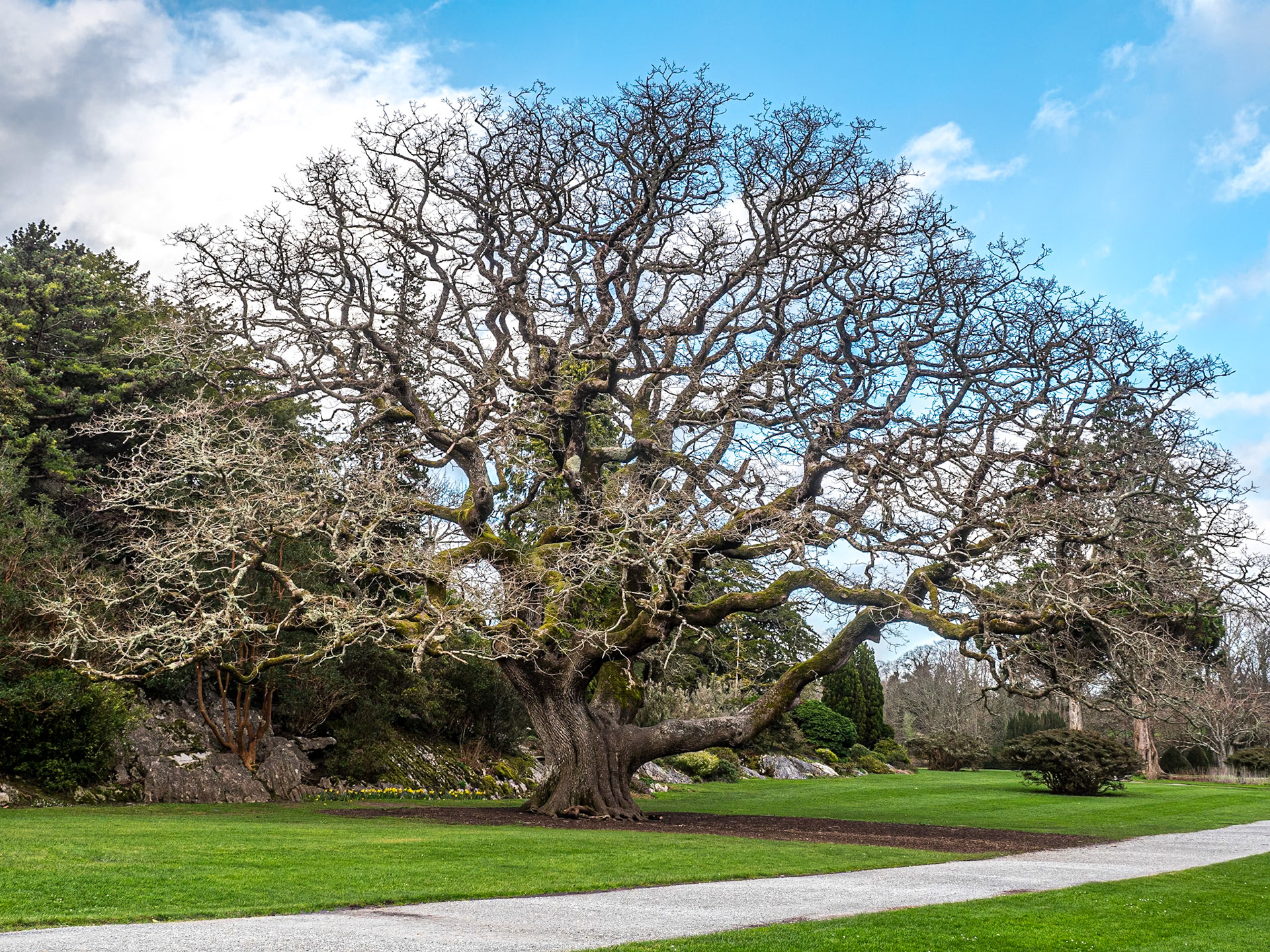 Muckross Estate, Killarney, Co Kerry, 2 Mar 2019