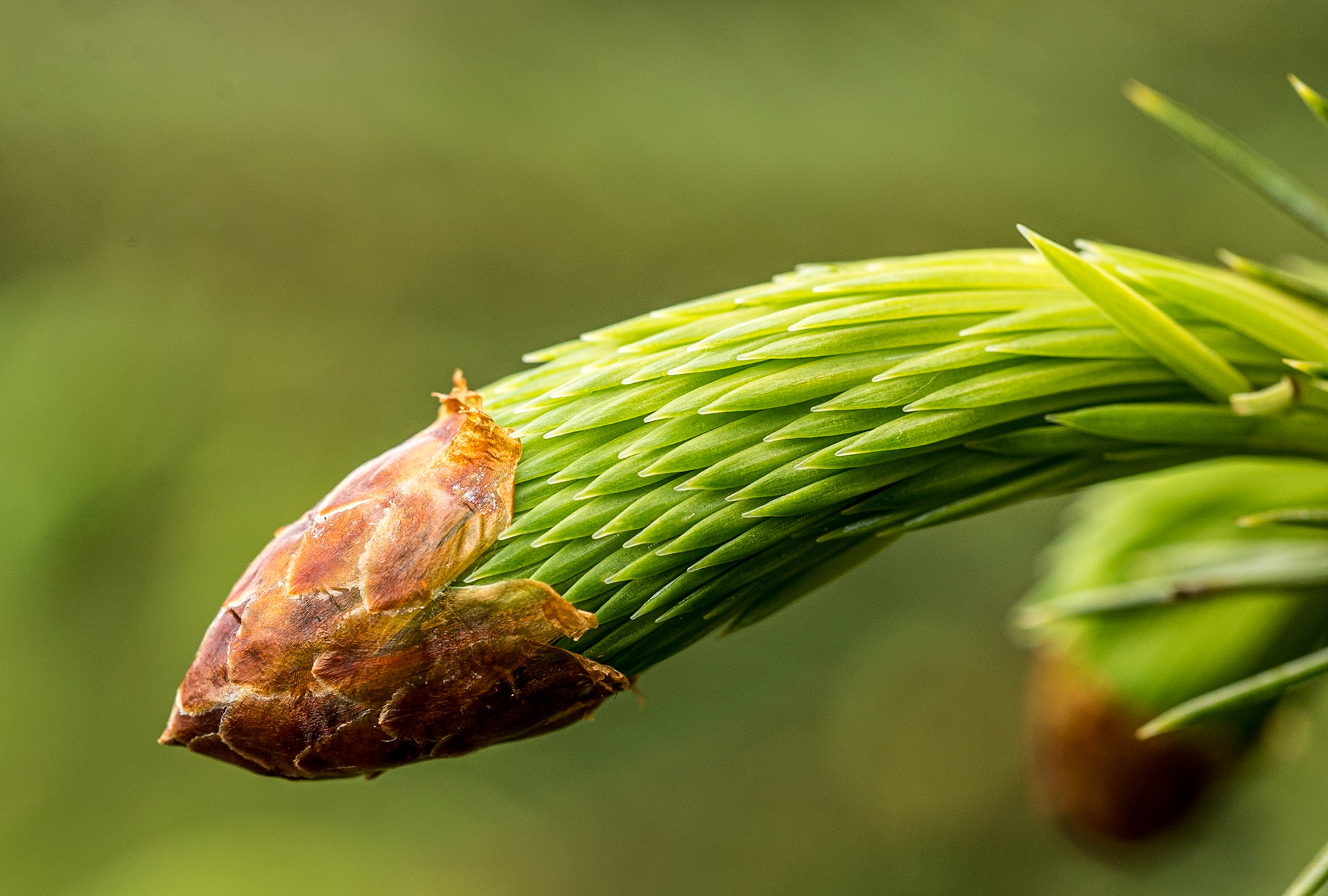 Tibradden, Co Dublin, 22 May 2016
